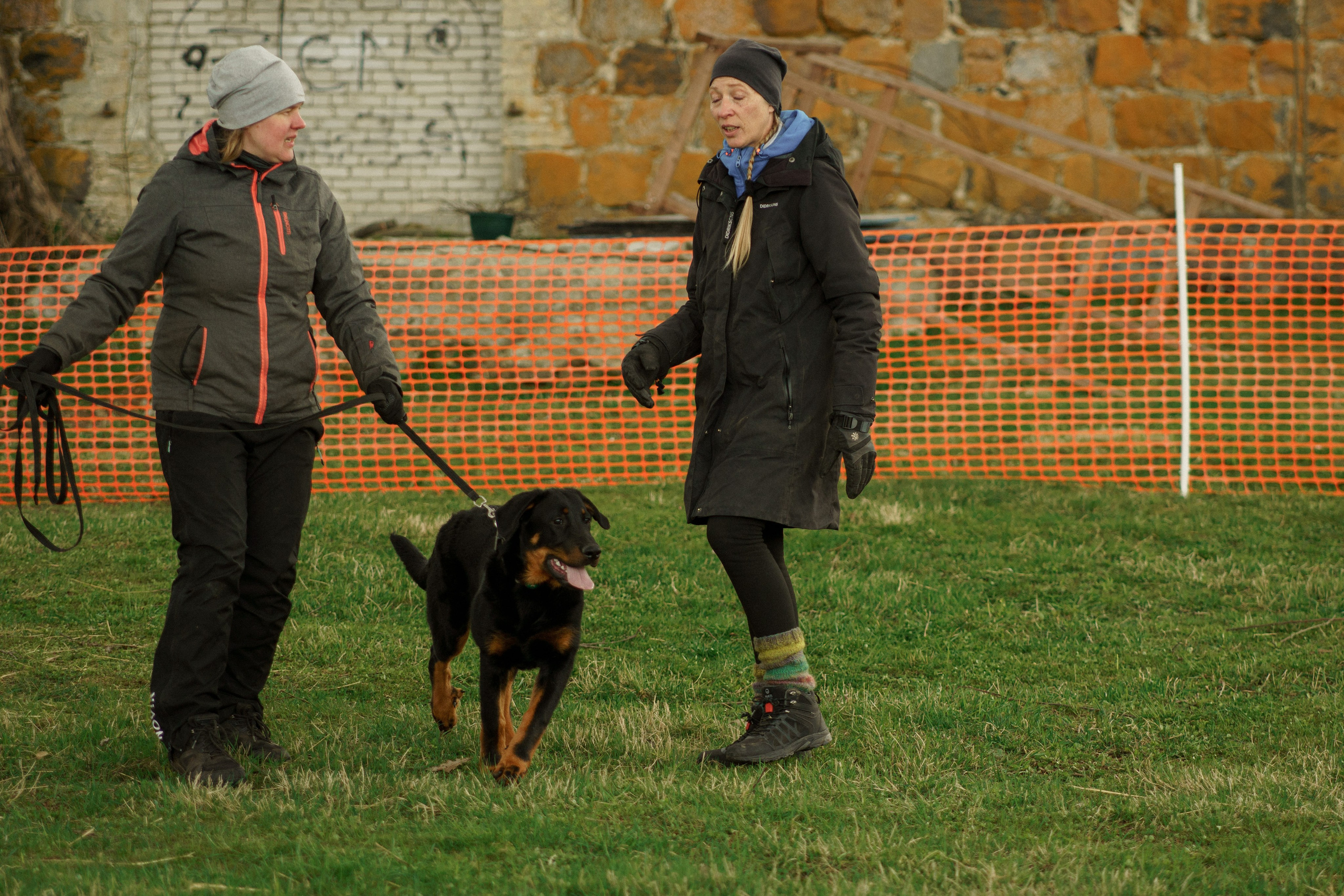 Herding Days, 26 apr. 2025. Kat Laisaar — Pet photographer in Tallinn