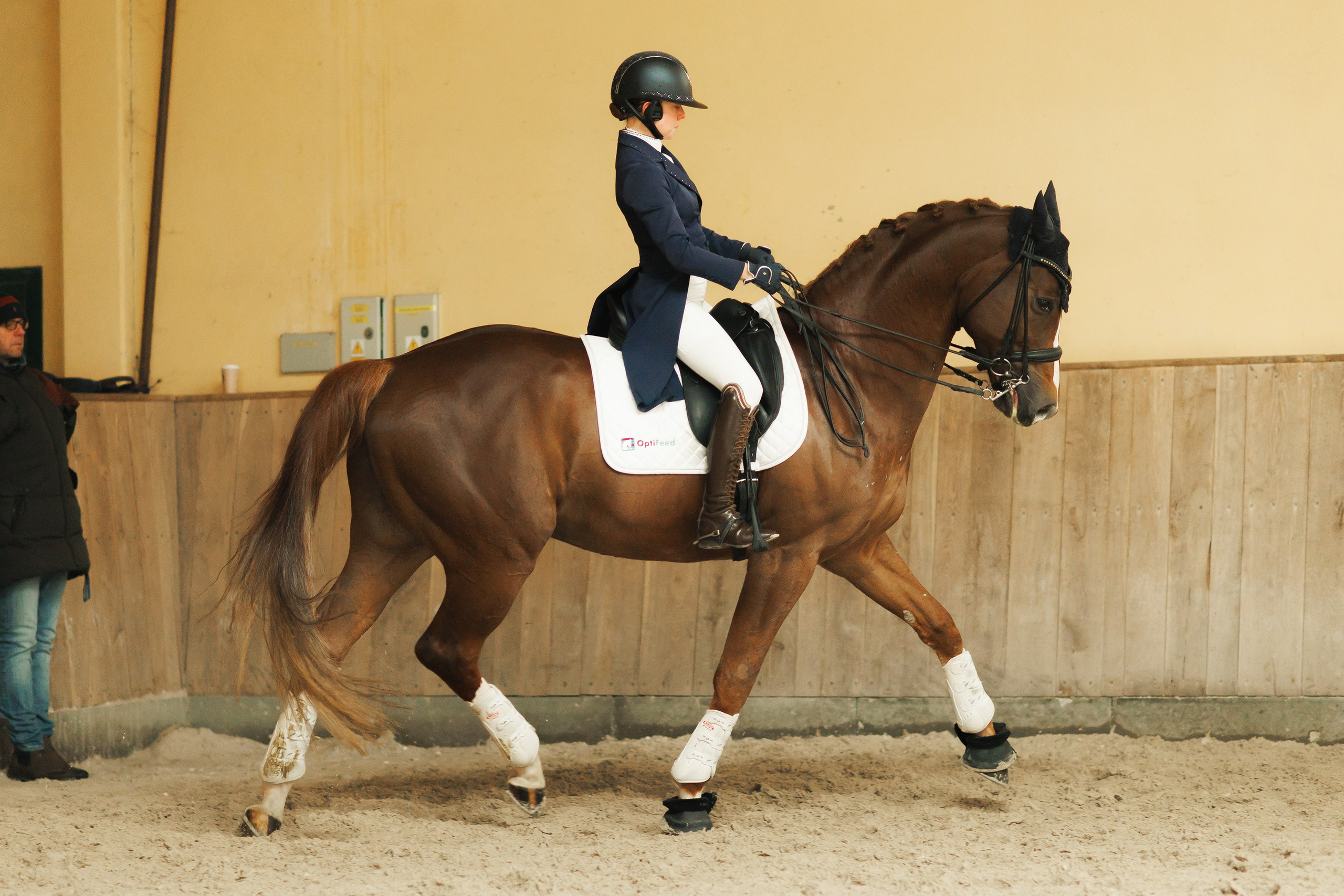 Partynice dressage \ feb'25. Kaja | fotograf we Wrocławiu | ludzie i psy