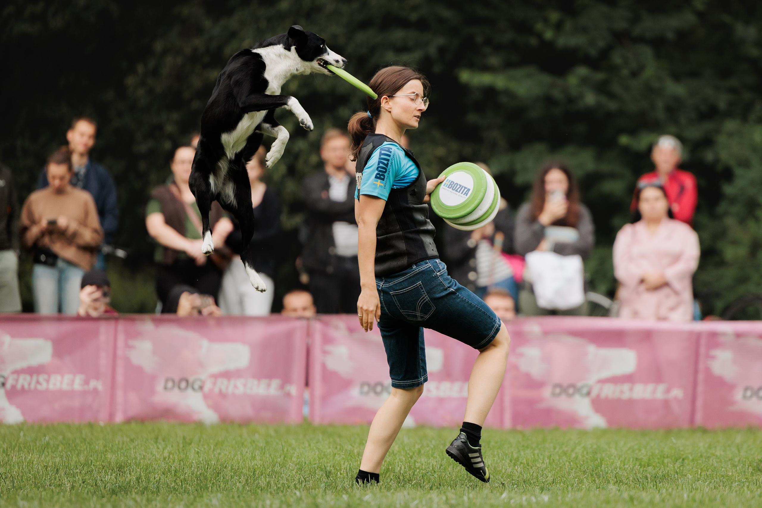 Latające psy, Wrocław'25. Kaja | fotograf psów we Wrocławiu