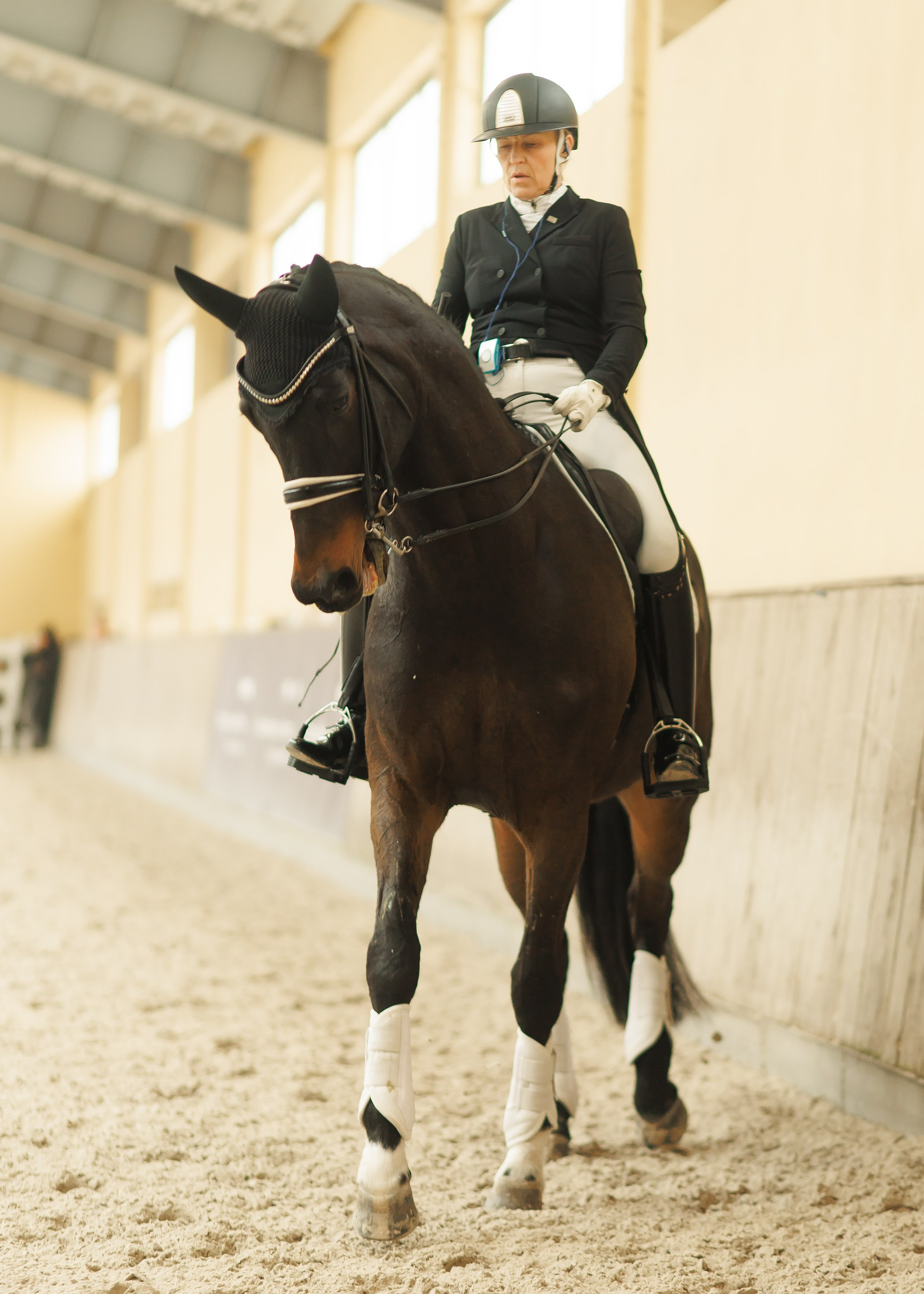 Fotografia koni Wrocław \ ujeżdżenie, Partynice. Kaja | fotograf we Wrocławiu | ludzie i psy