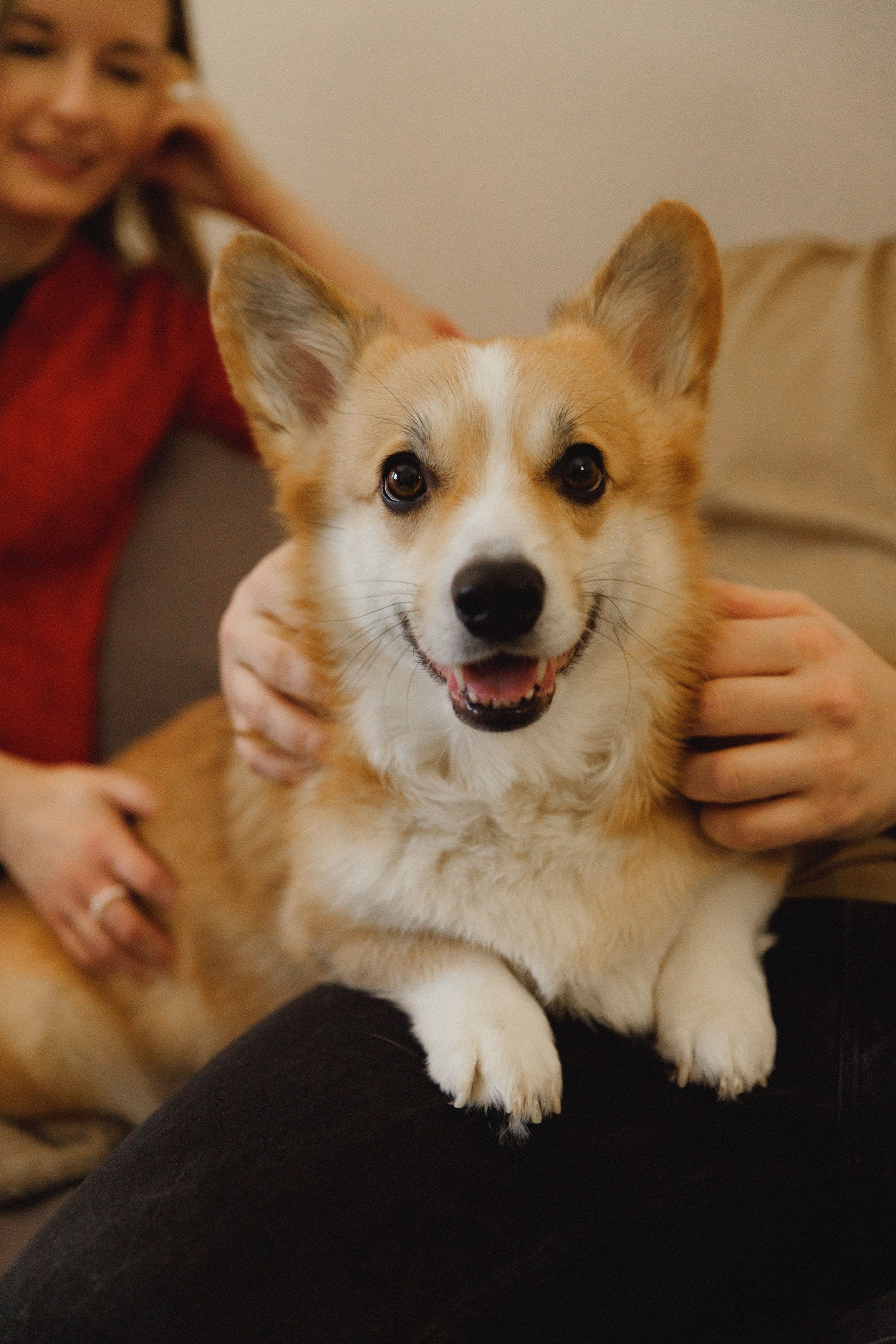 Dasha & Daisy. Kaja | fotograf psów we Wrocławiu