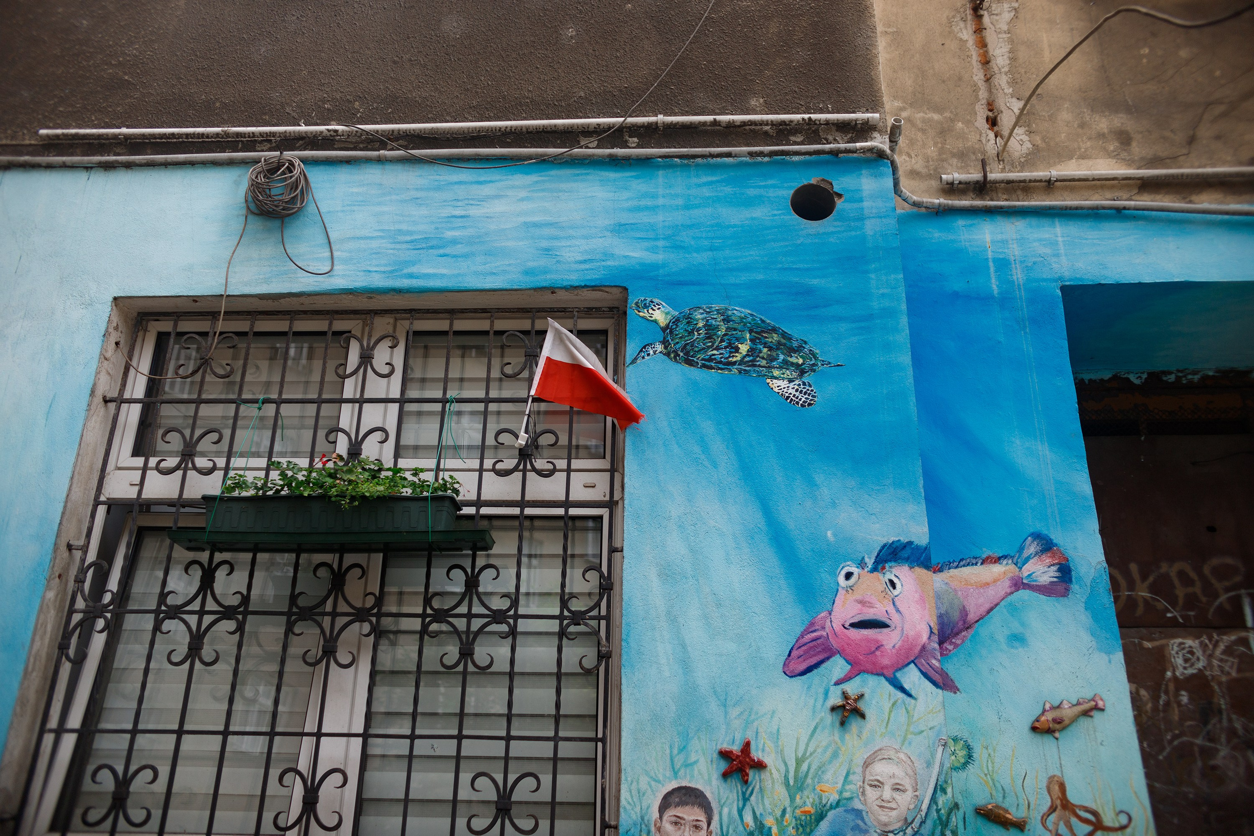 Wroclaw | the best ones. Kaja | fotograf psów we Wrocławiu