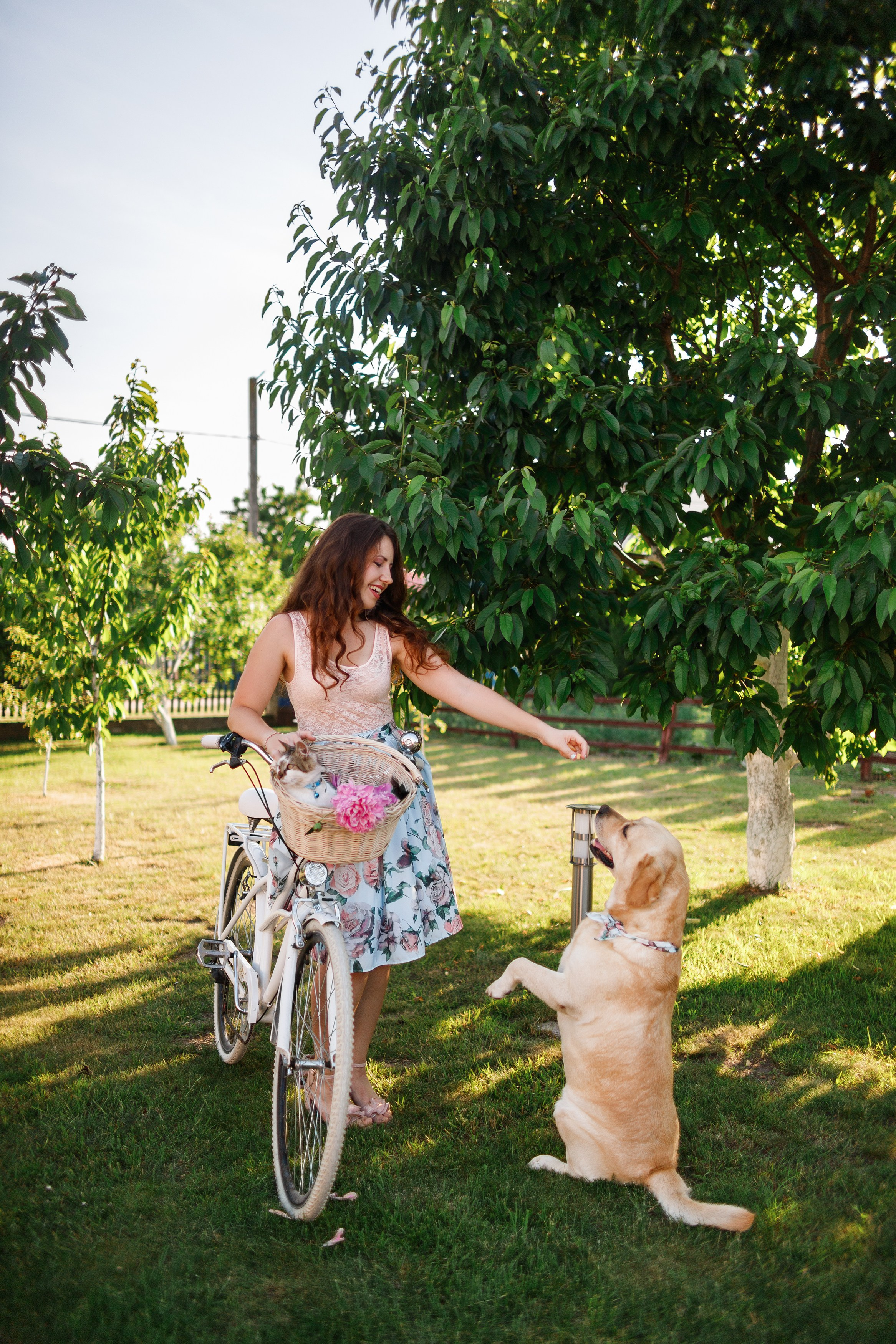 Nastya & Spark and Boss. Kaja | fotograf psów we Wrocławiu