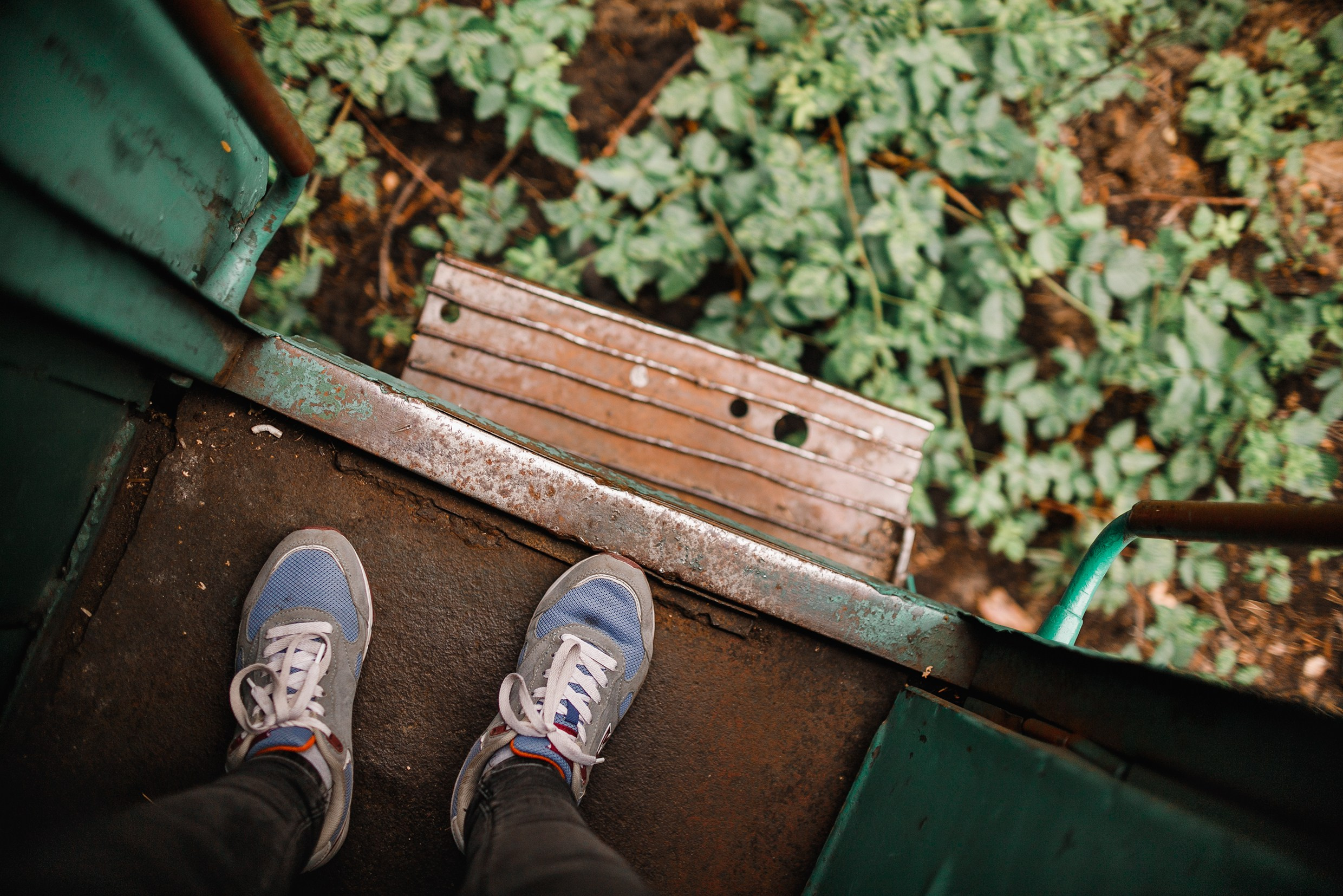 Narrow-gauge railway trip. Kaja | fotograf psów we Wrocławiu