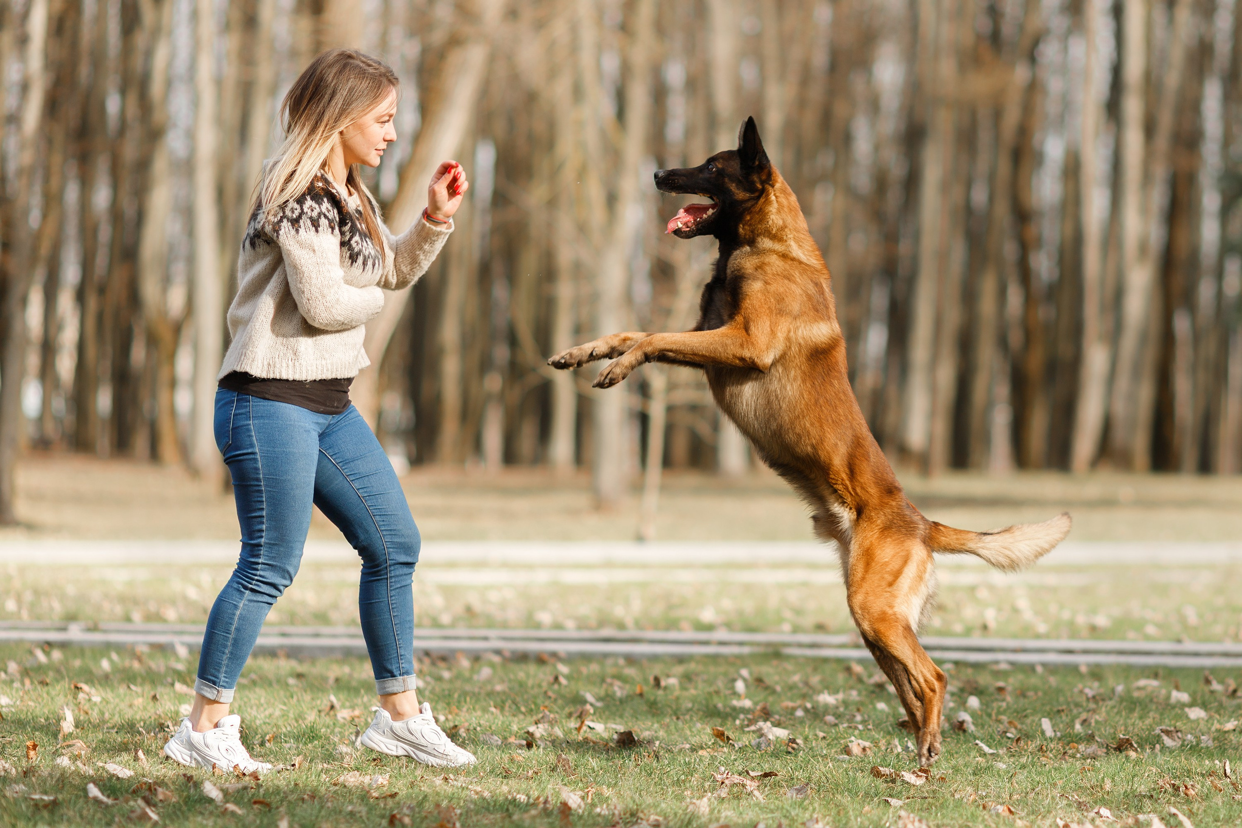 Autumn photo day for dog handler. Kaja | fotograf we Wrocławiu | ludzie i psy