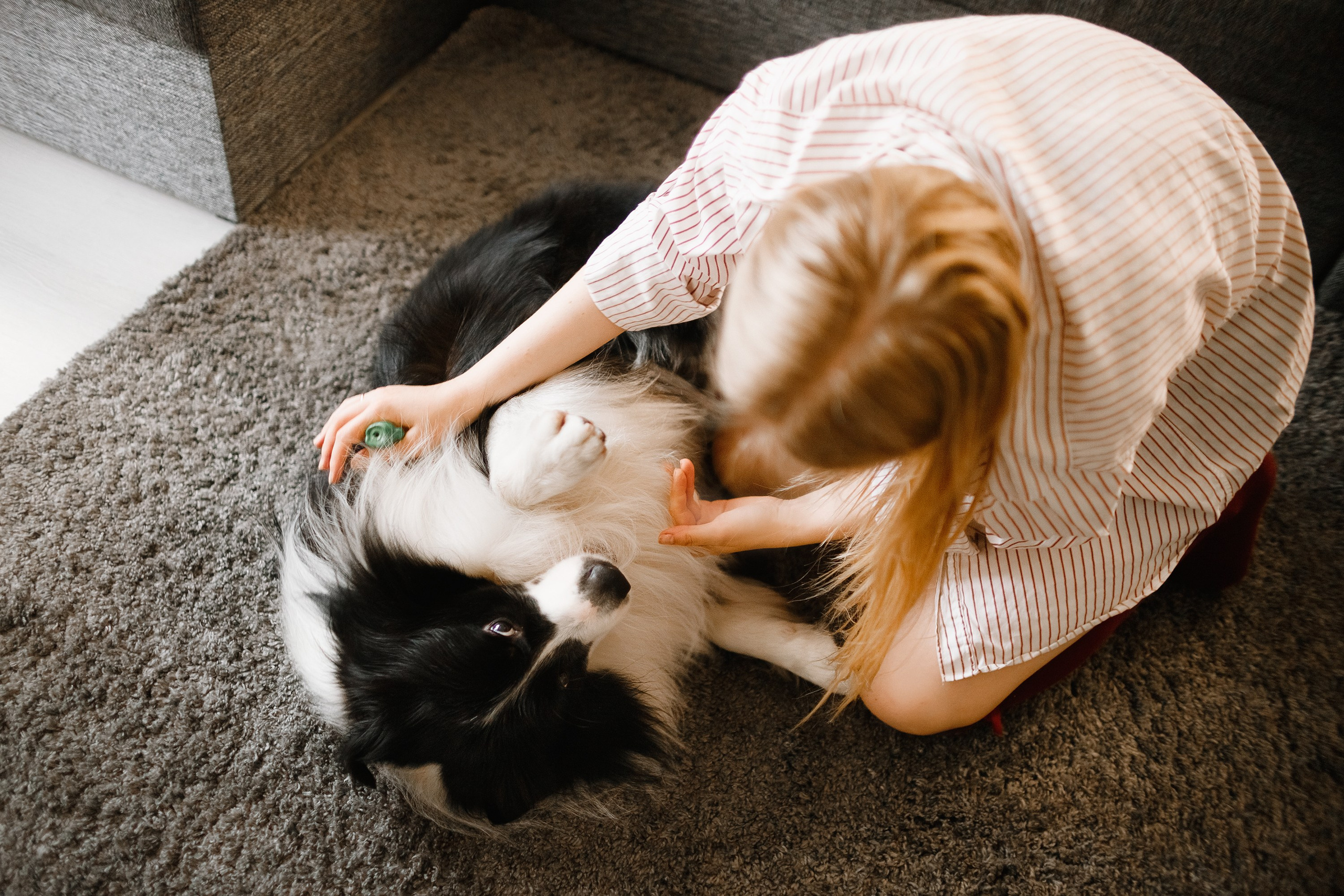 Evgenia & Richard. Kaja | fotograf we Wrocławiu | ludzie i psy
