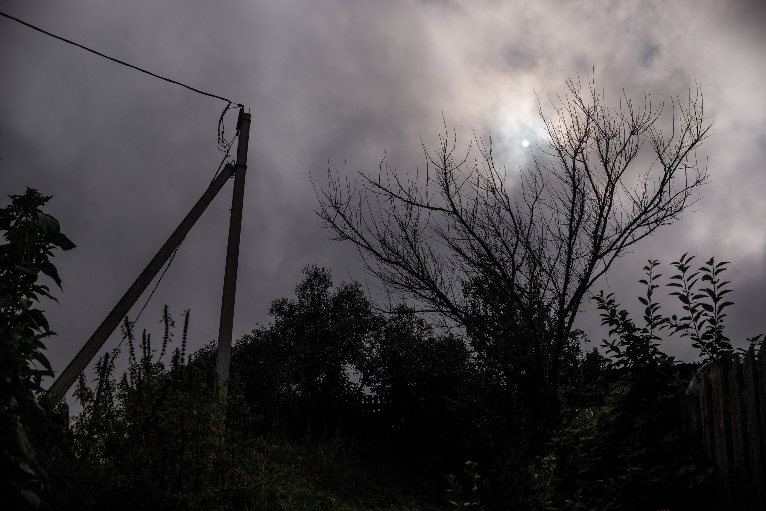 Grodno. Kaja | fotograf we Wrocławiu | ludzie i psy