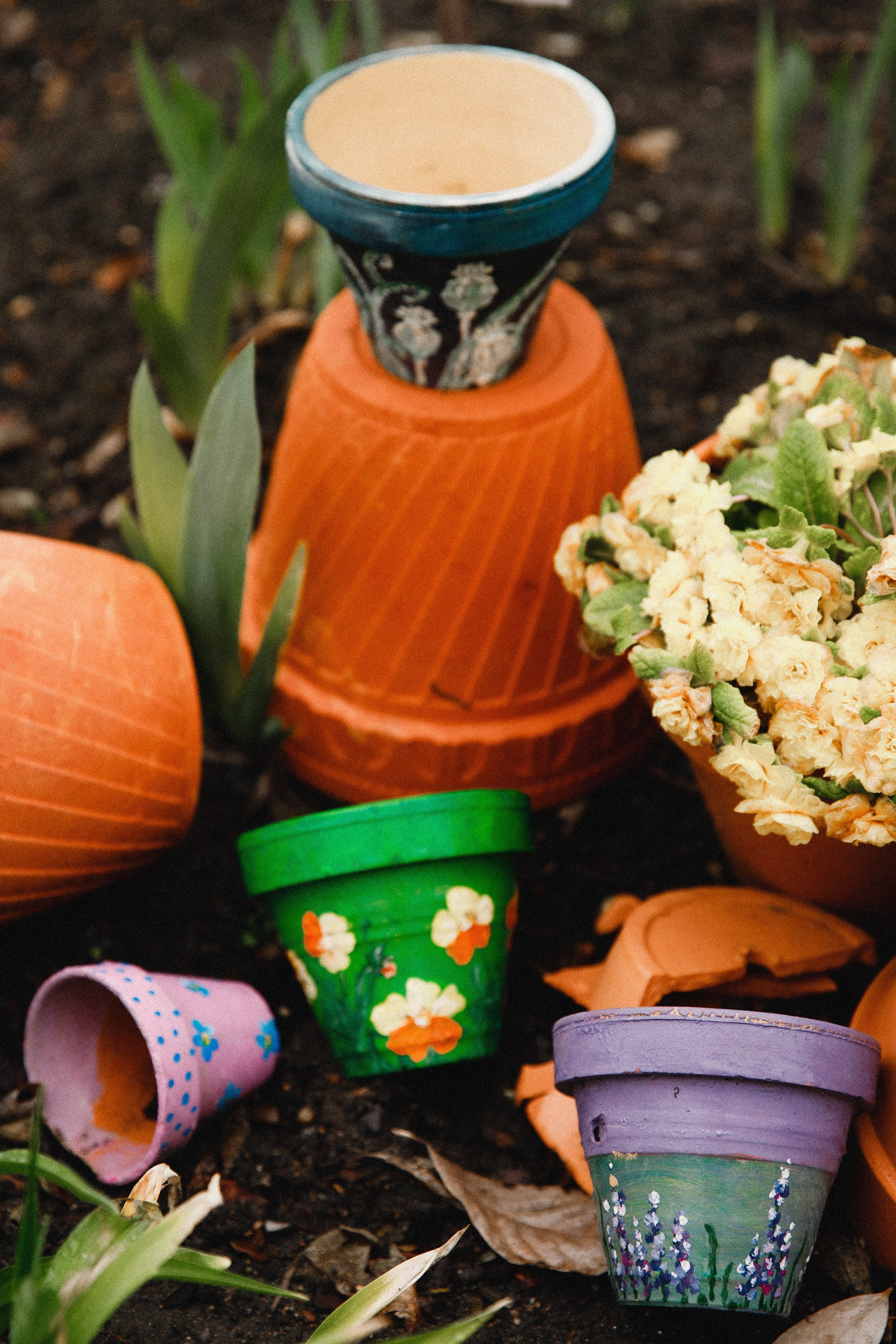 Botanical garden in Wroclaw. Kaja | fotograf we Wrocławiu | ludzie i psy