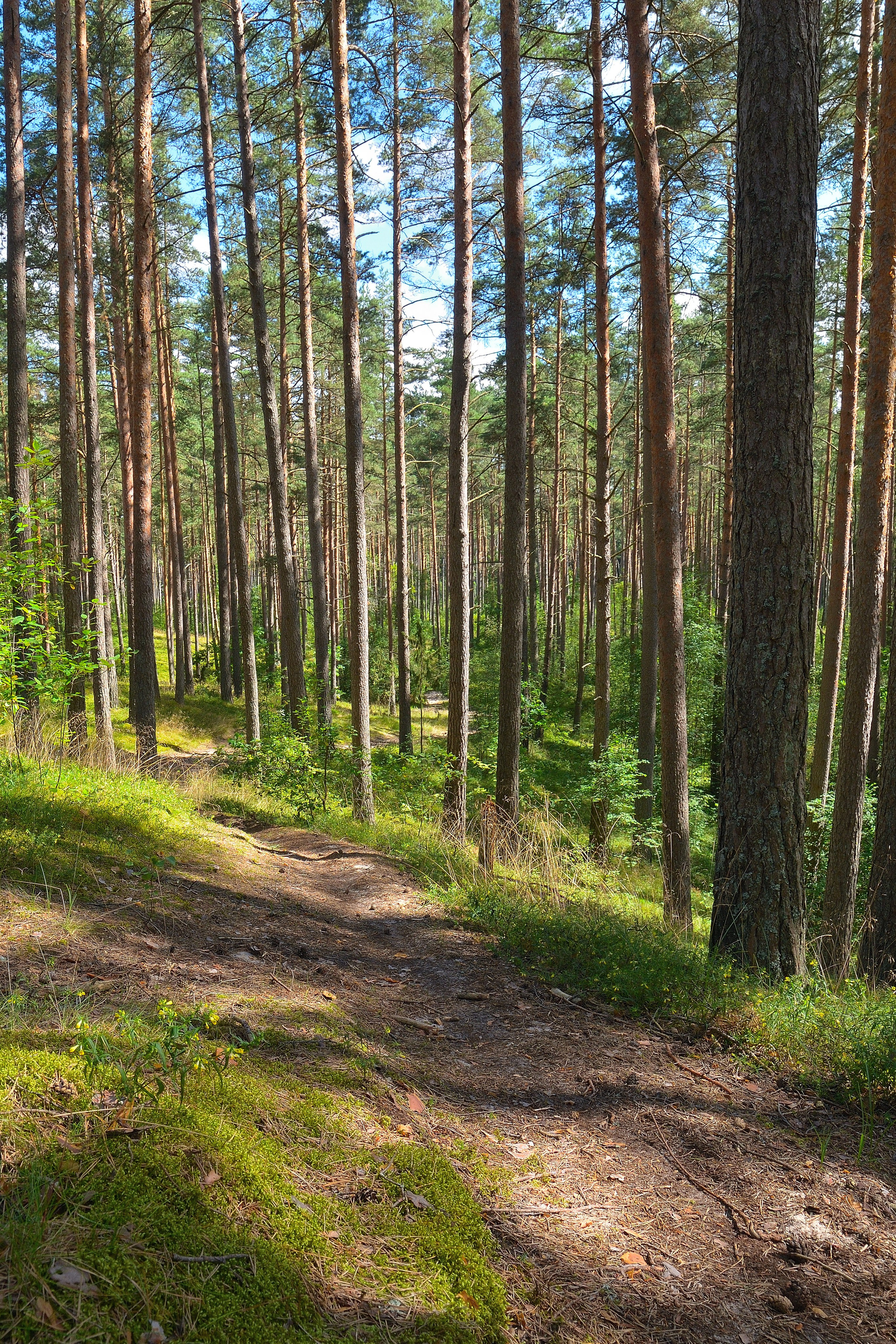 Fotografs Rīga Latvija