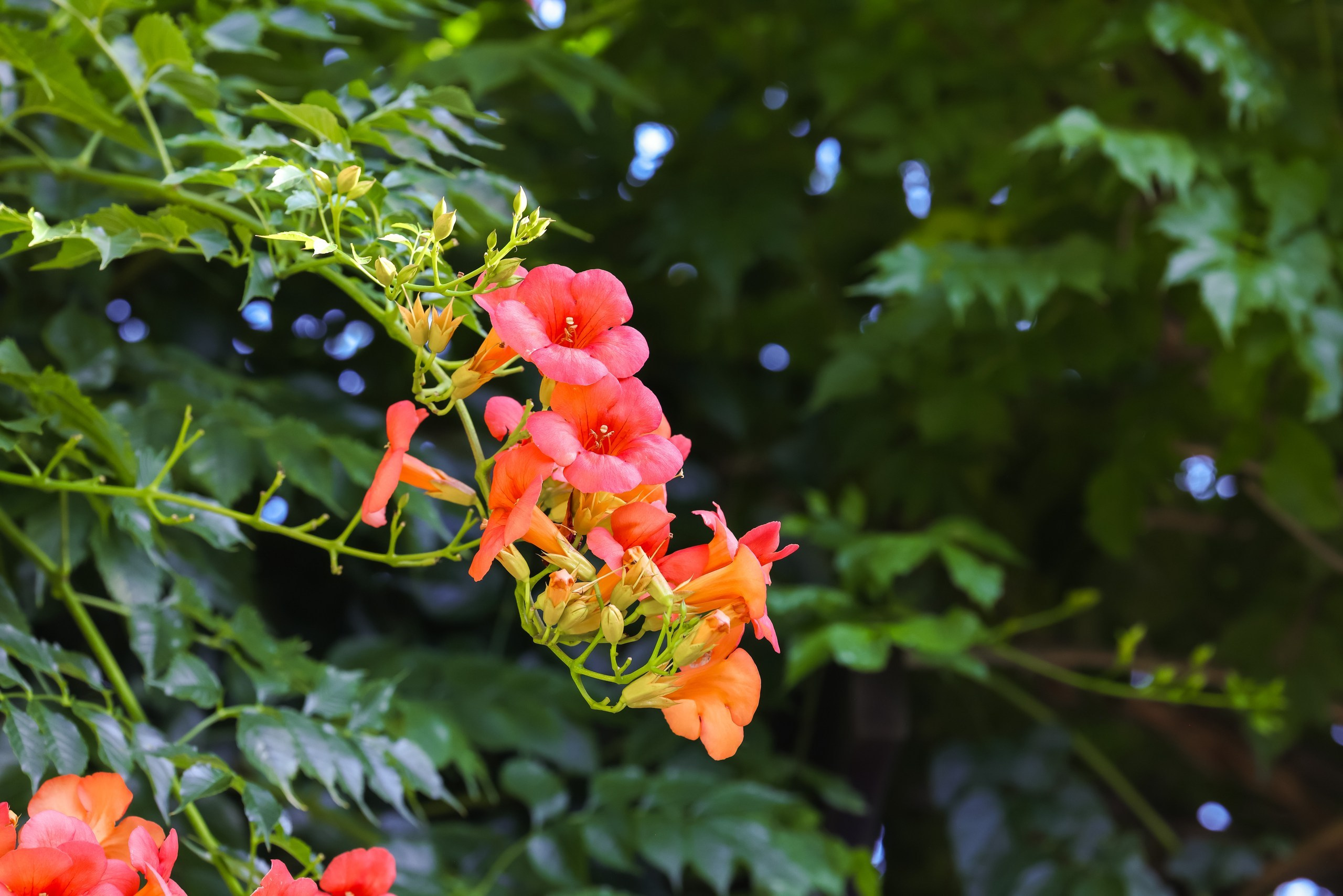 Kathryn and Jack. Wedding Photo & Video
