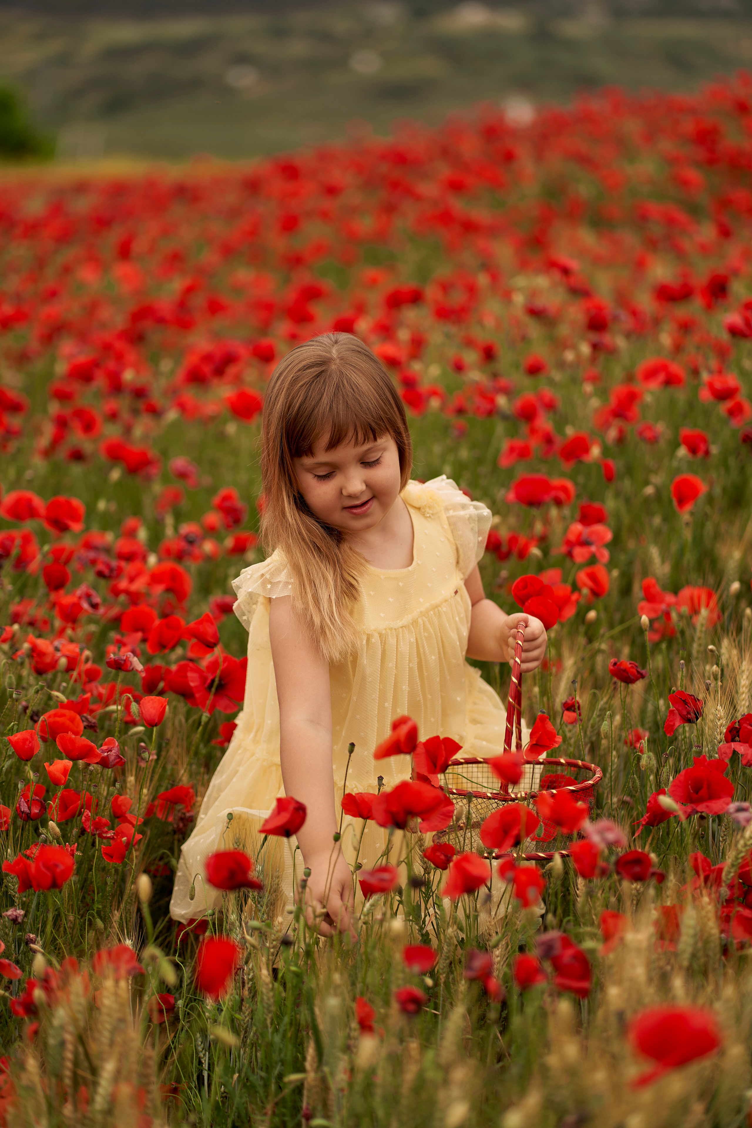 Solomia maki. Fotógrafo de bodas y familias en España, Málaga, Marbella