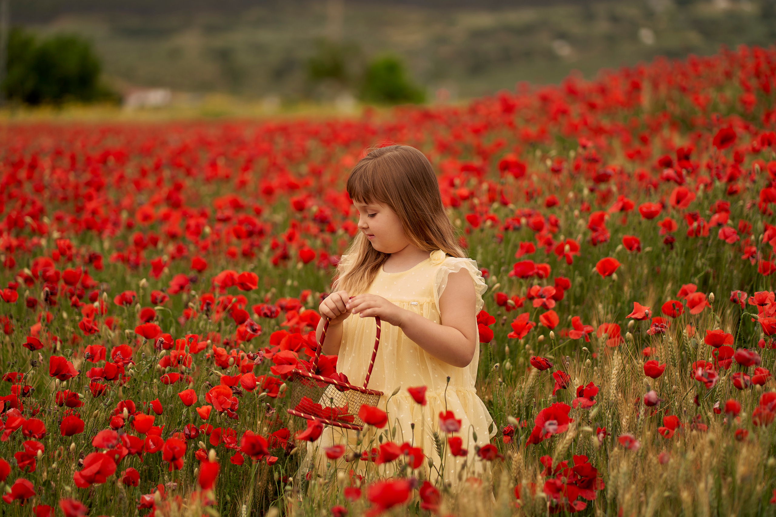Solomia maki. Fotógrafo de bodas y familias en España, Málaga, Marbella