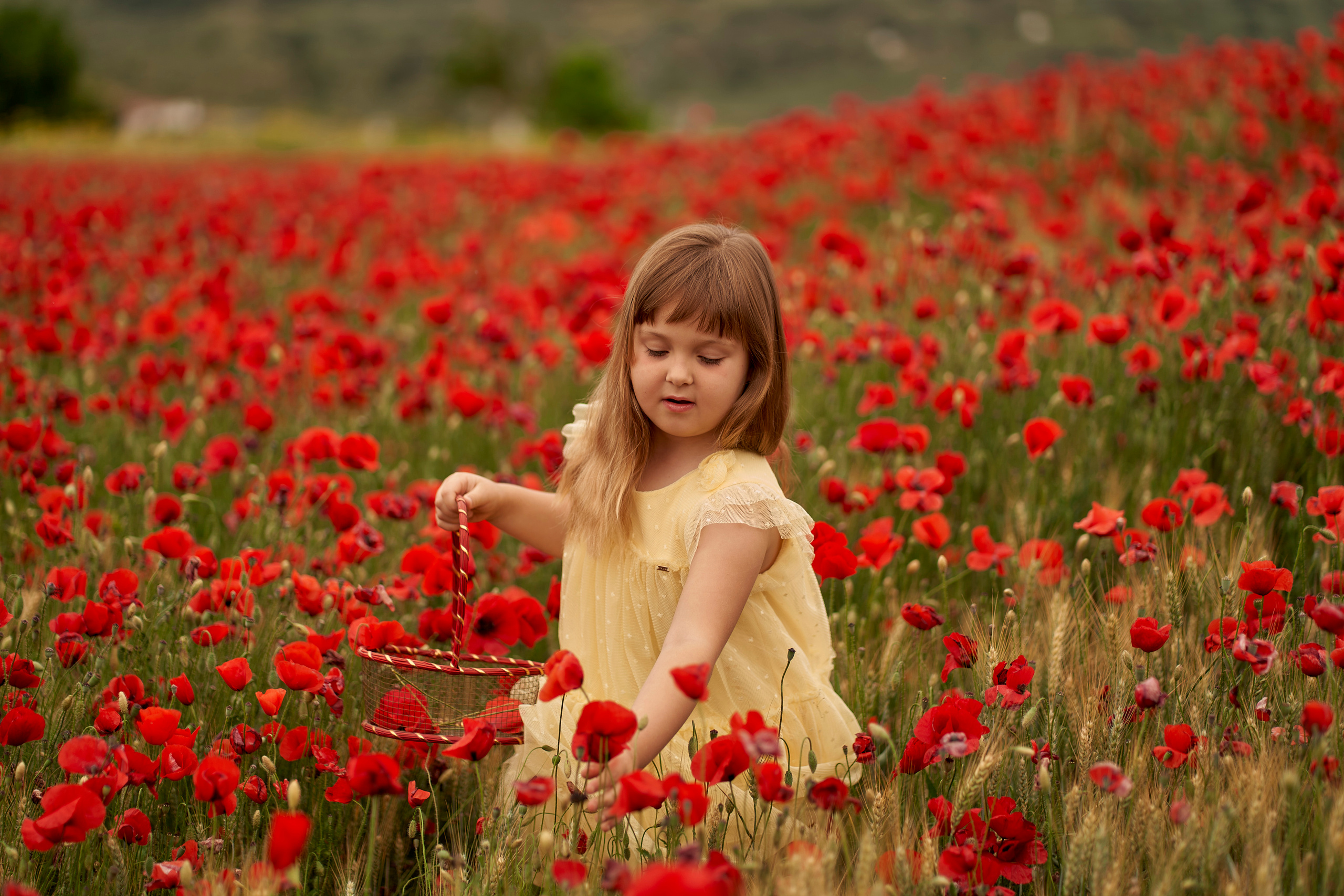 Solomia maki. Fotógrafo de bodas y familias en España, Málaga, Marbella