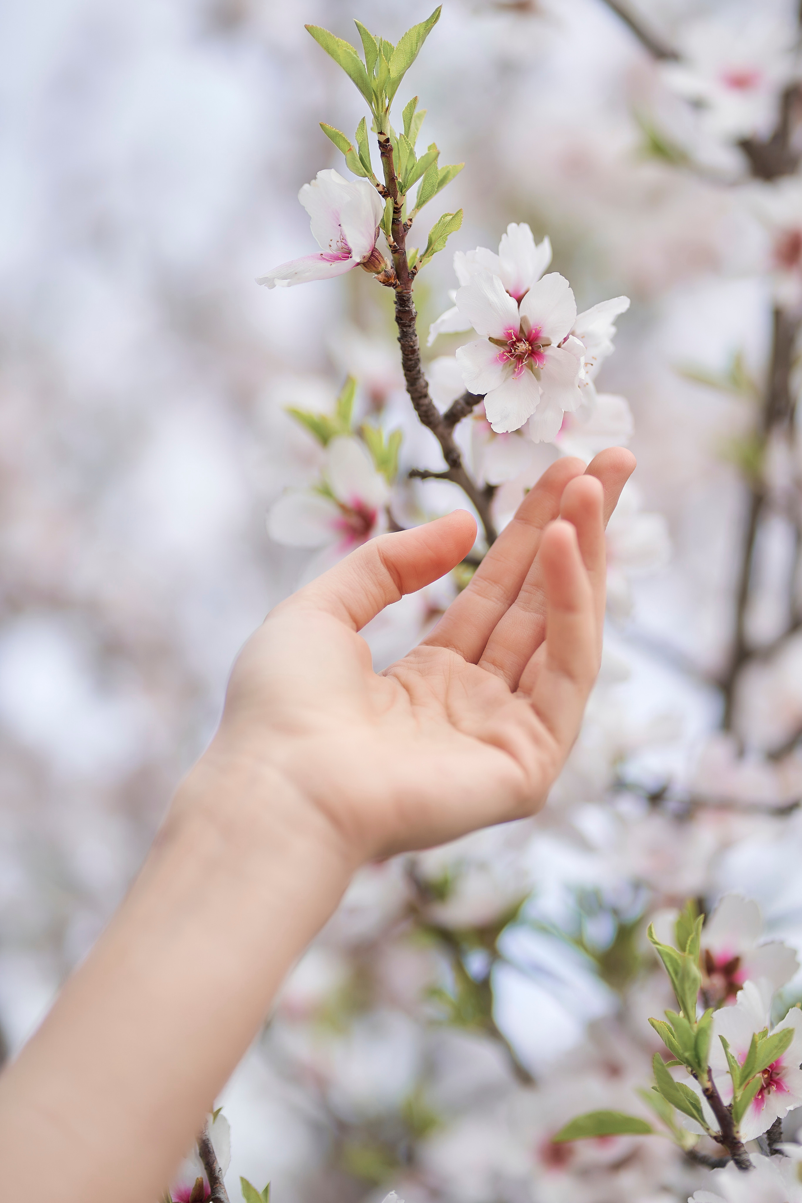 Venetsia. Fotógrafo de bodas y familias en España, Málaga, Marbella