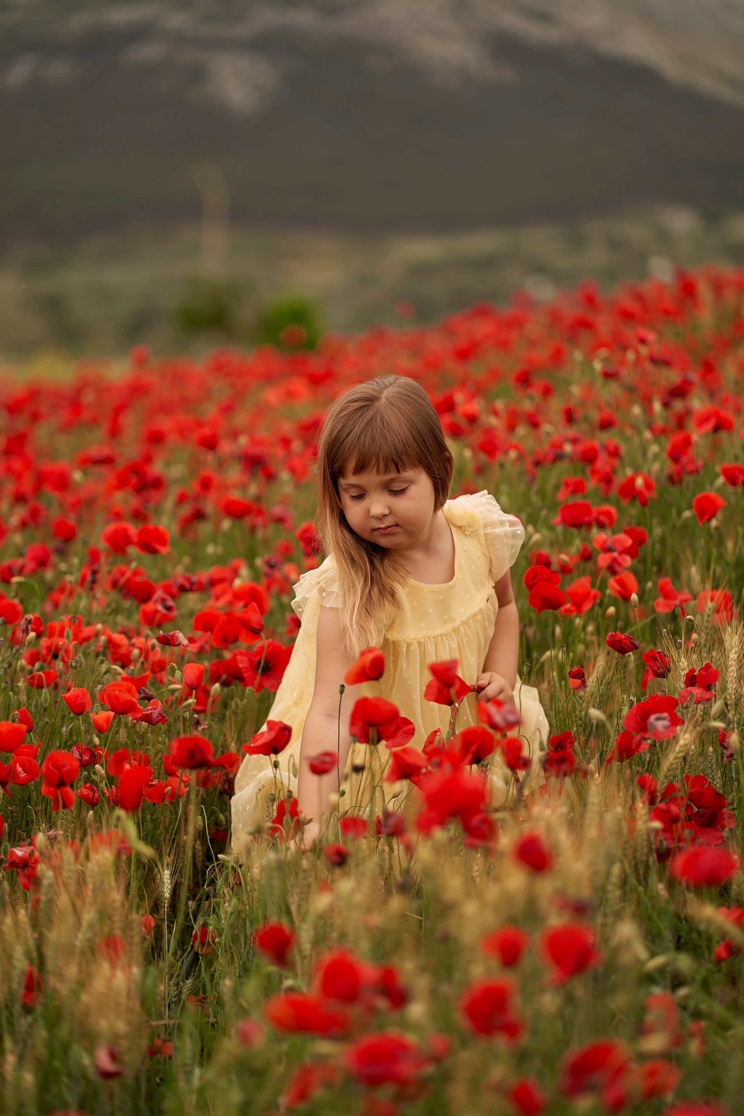 Solomia maki. Fotógrafo de bodas y familias en España, Málaga, Marbella