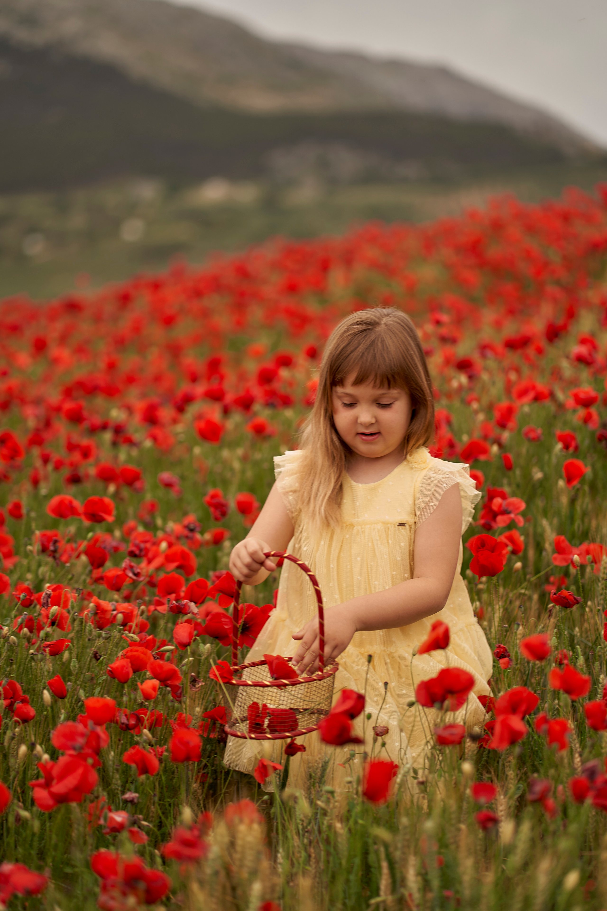 Solomia maki. Fotógrafo de bodas y familias en España, Málaga, Marbella
