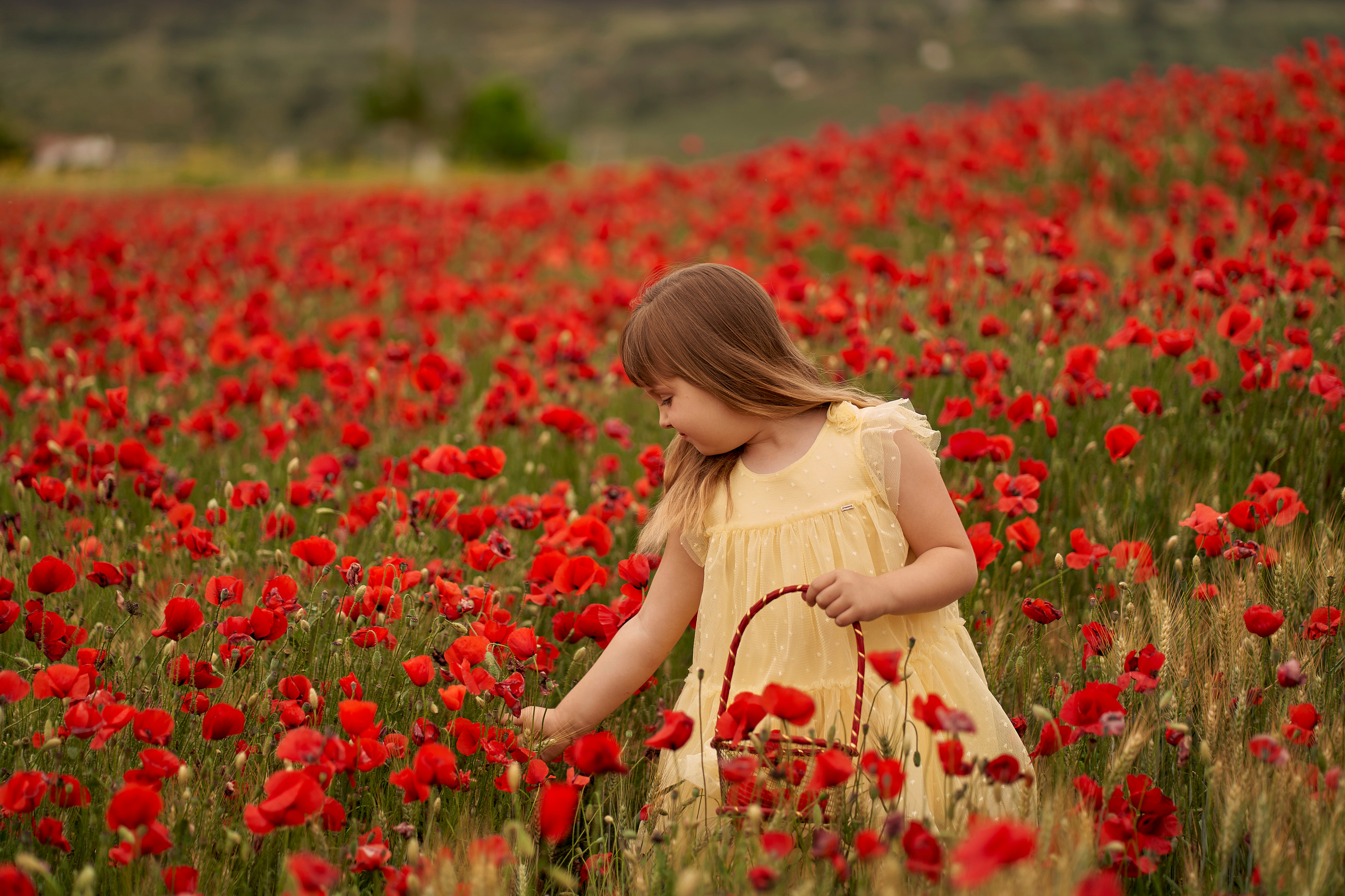 Solomia maki. Fotógrafo de bodas y familias en España, Málaga, Marbella