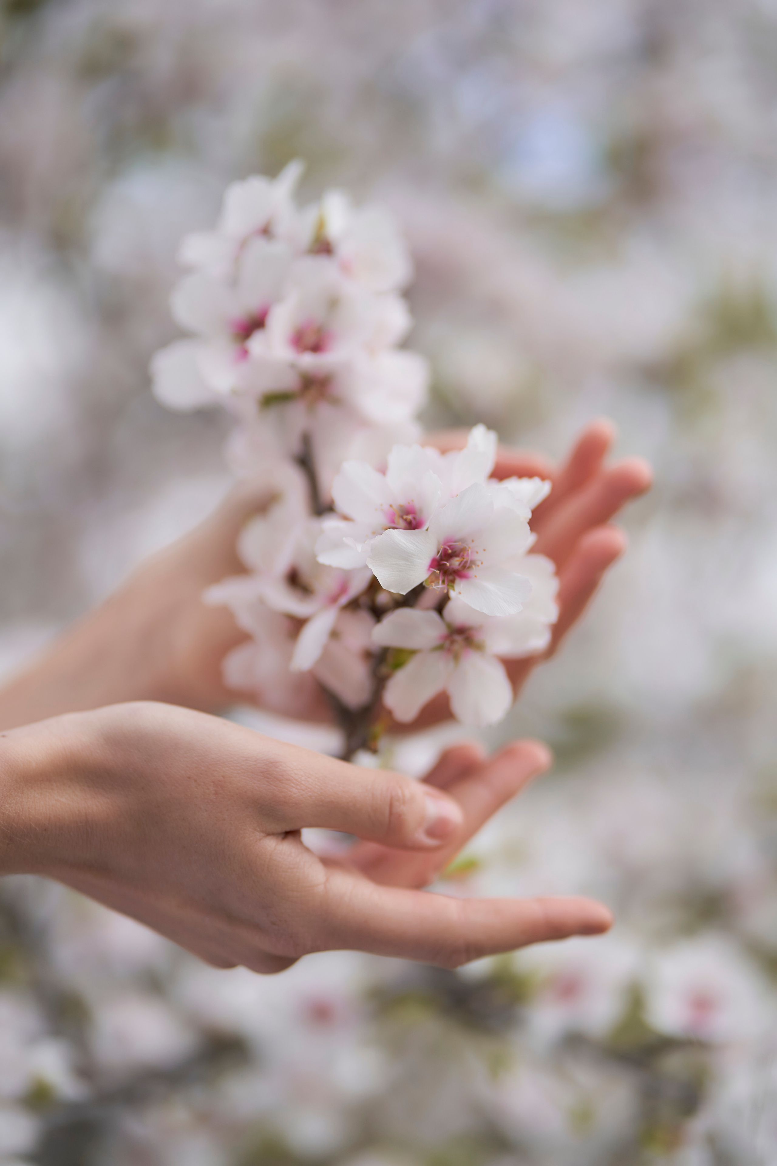 Venetsia. Fotógrafo de bodas y familias en España, Málaga, Marbella