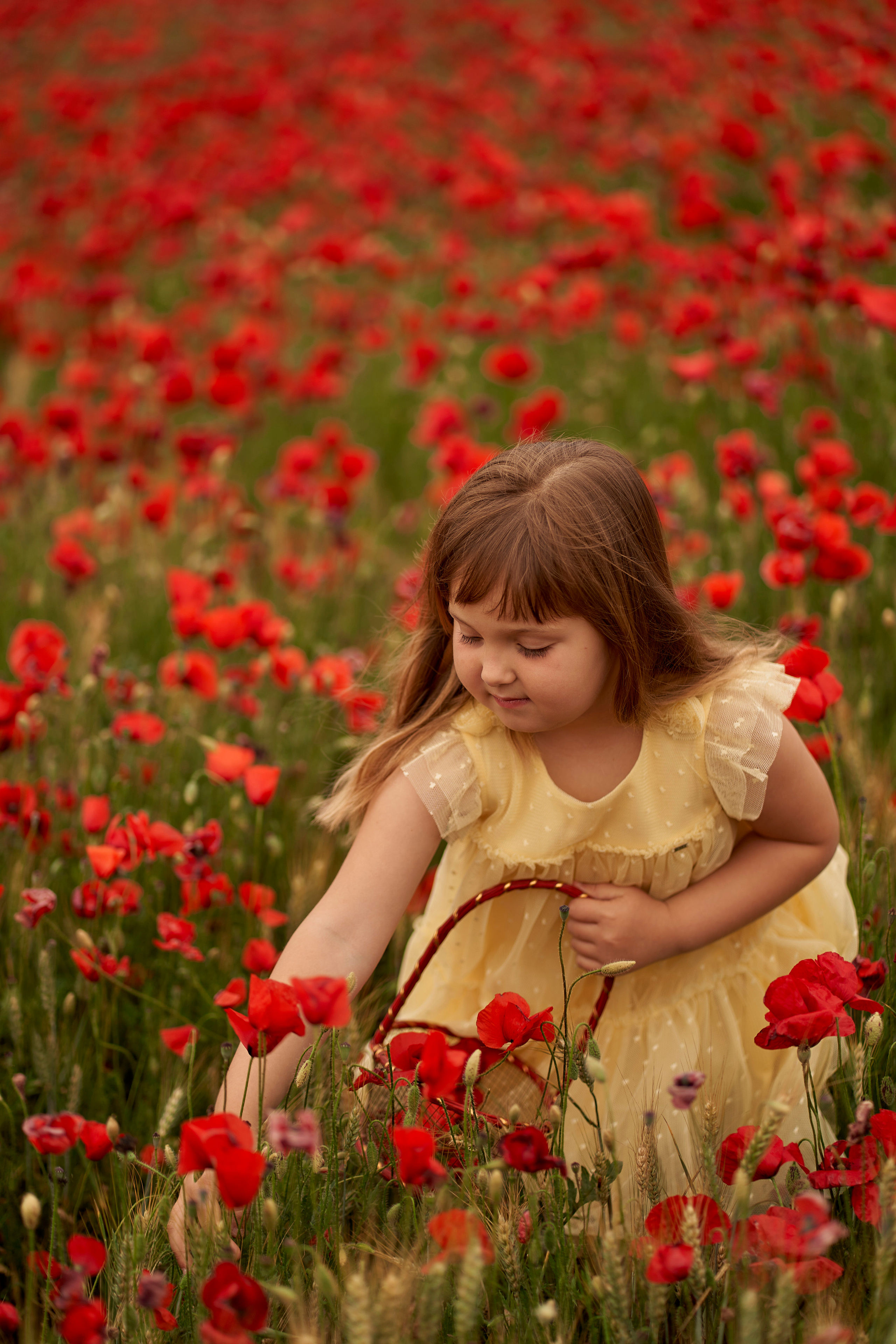 Solomia maki. Fotógrafo de bodas y familias en España, Málaga, Marbella