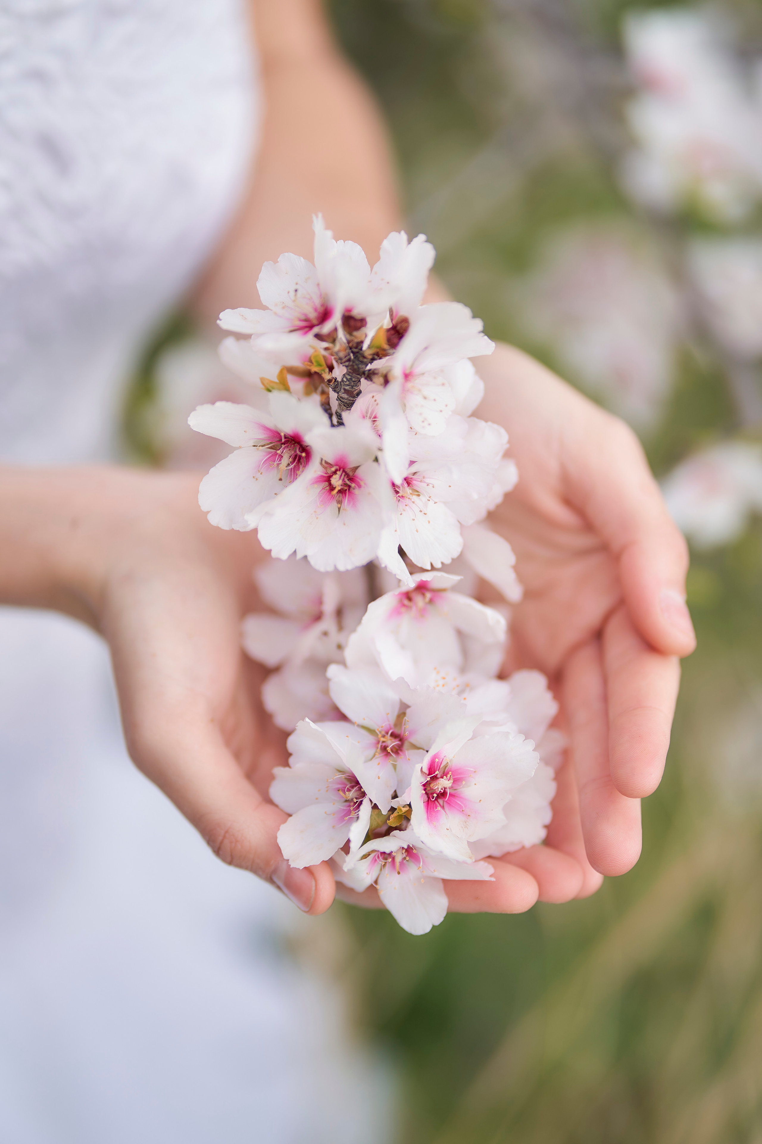 Venetsia. Fotógrafo de bodas y familias en España, Málaga, Marbella