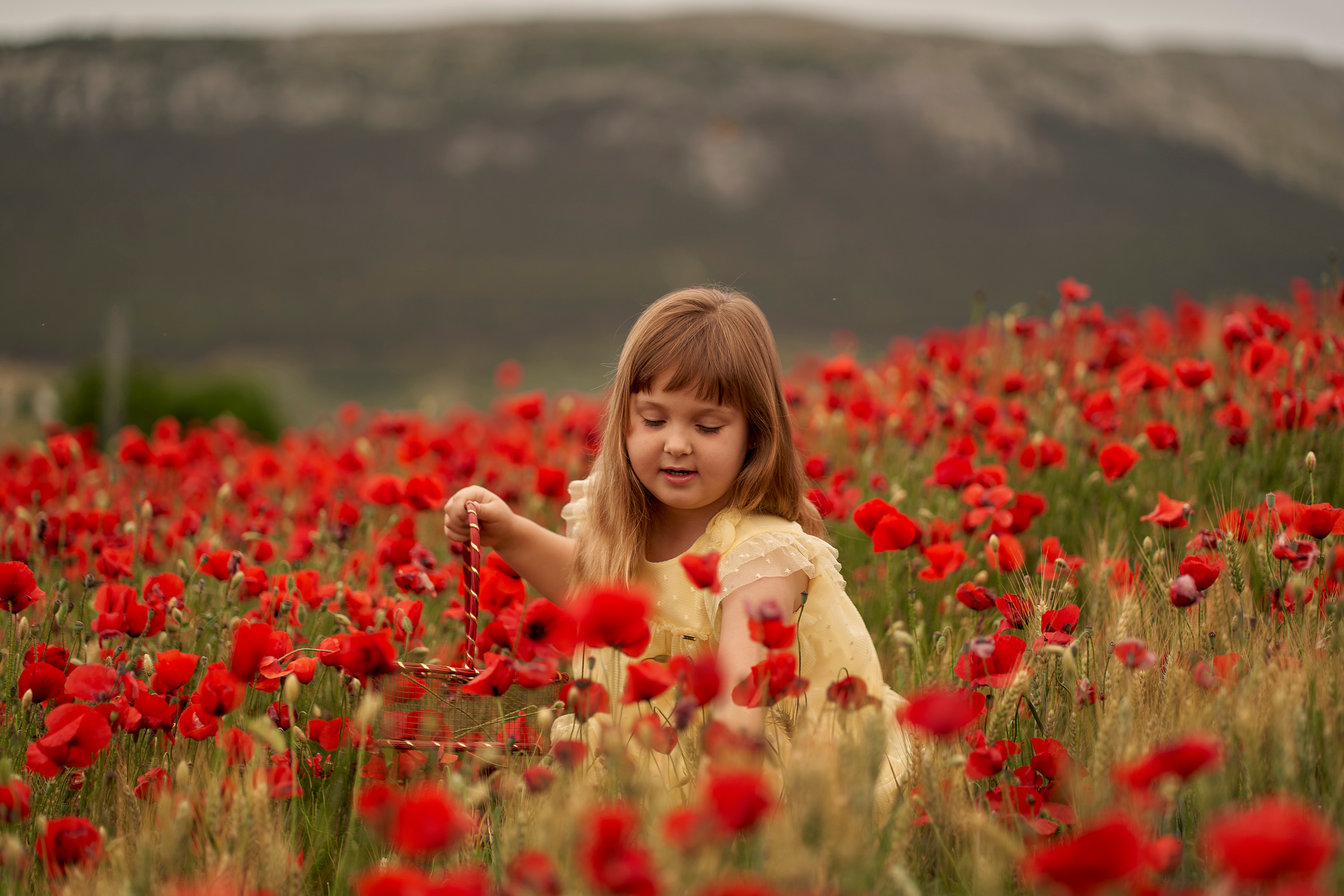 Solomia maki. Fotógrafo de bodas y familias en España, Málaga, Marbella