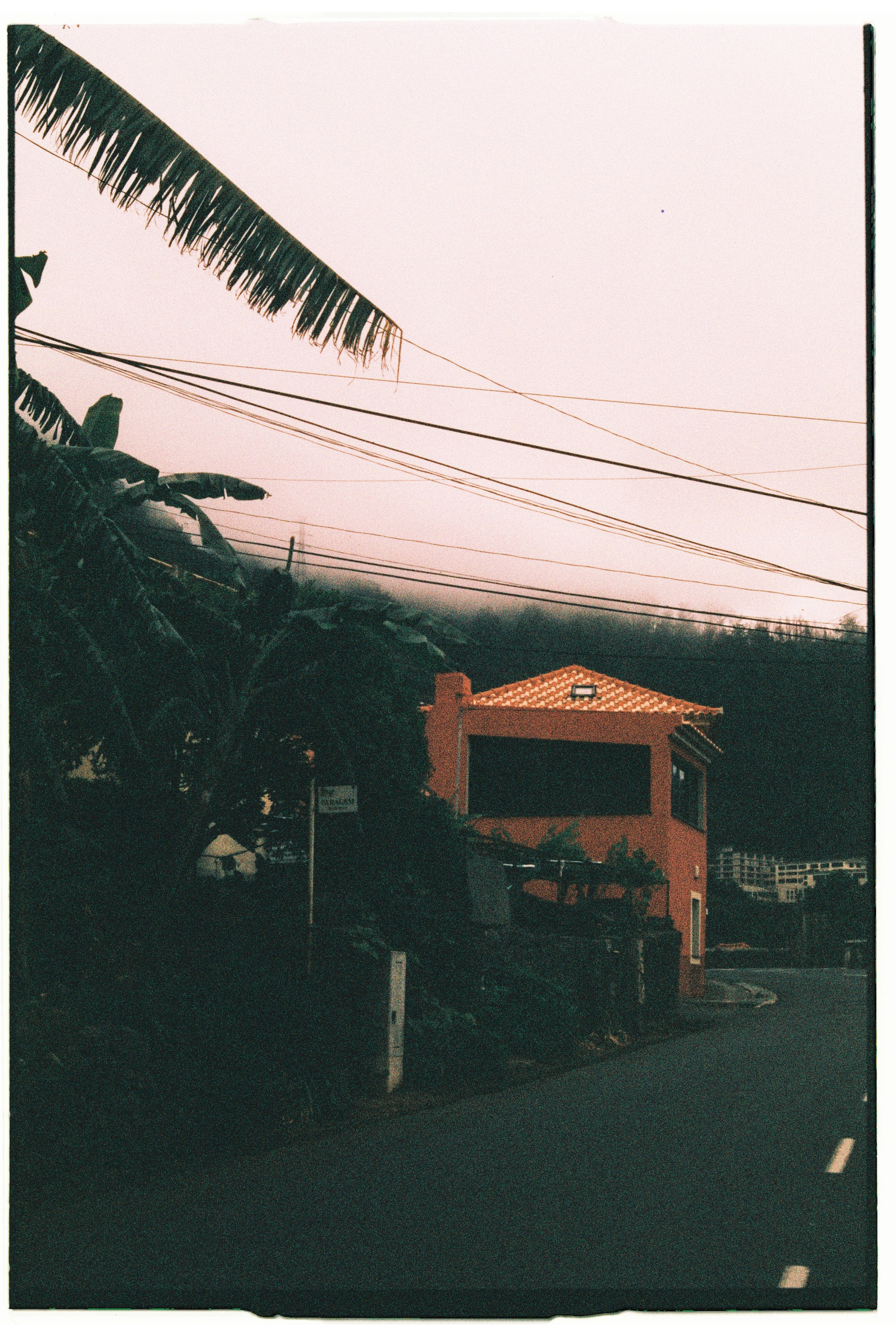 Madeira on film. Portrait photographer in Madeira — Marina Shtukina