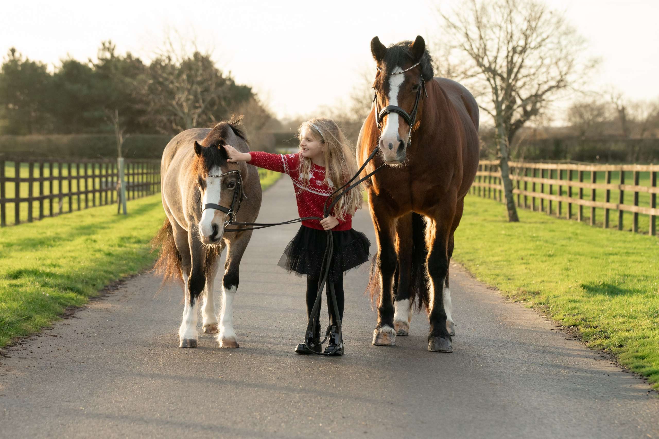 Equine Photography Portfolio | Leicestershire Horse Portrait Photographer. Leicestershire Equine Photography by El | Authentic Equine Portraits & Events
