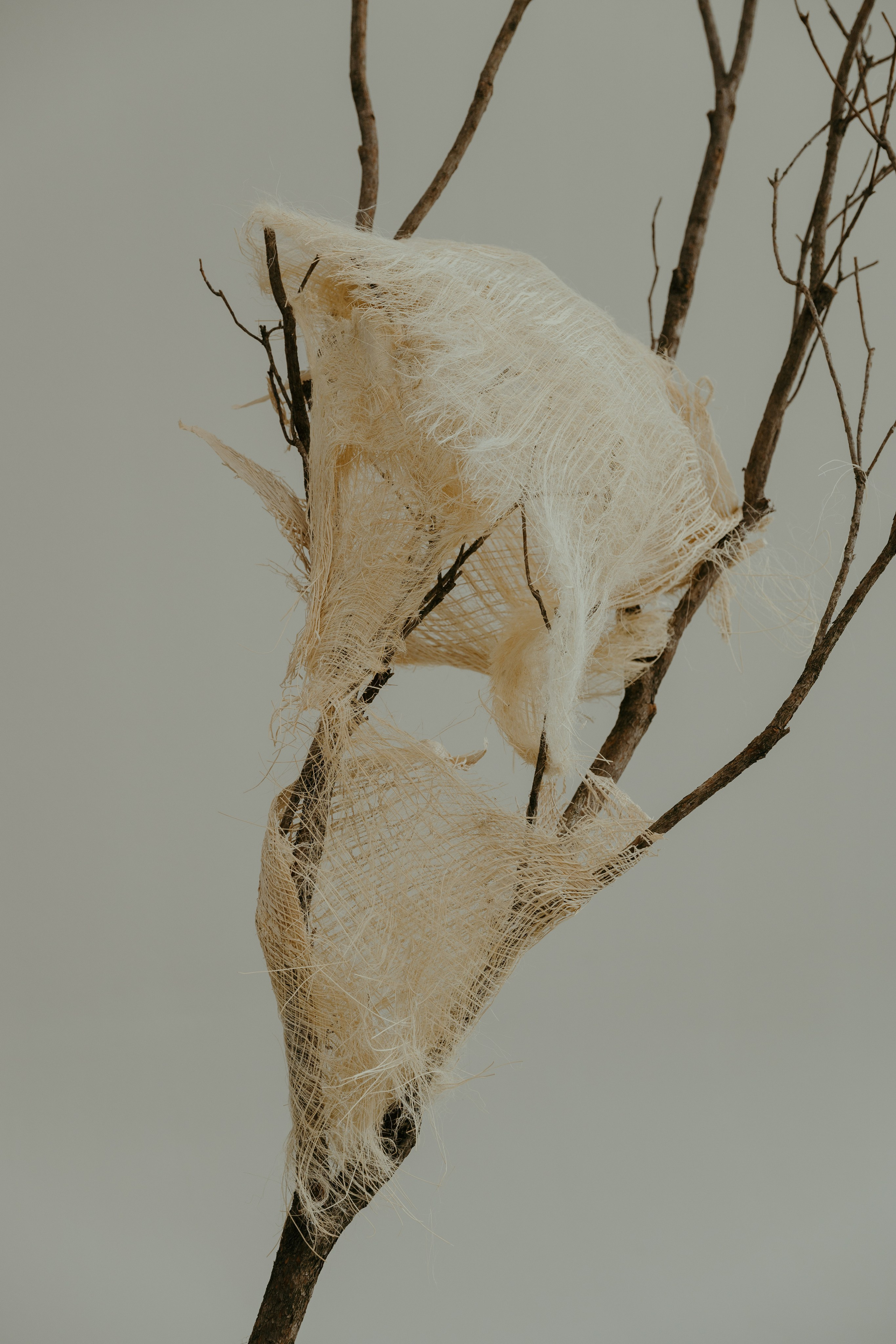 Art Direction: Flowers by&nbsp;Bornay Photography: Fabrizio Colque