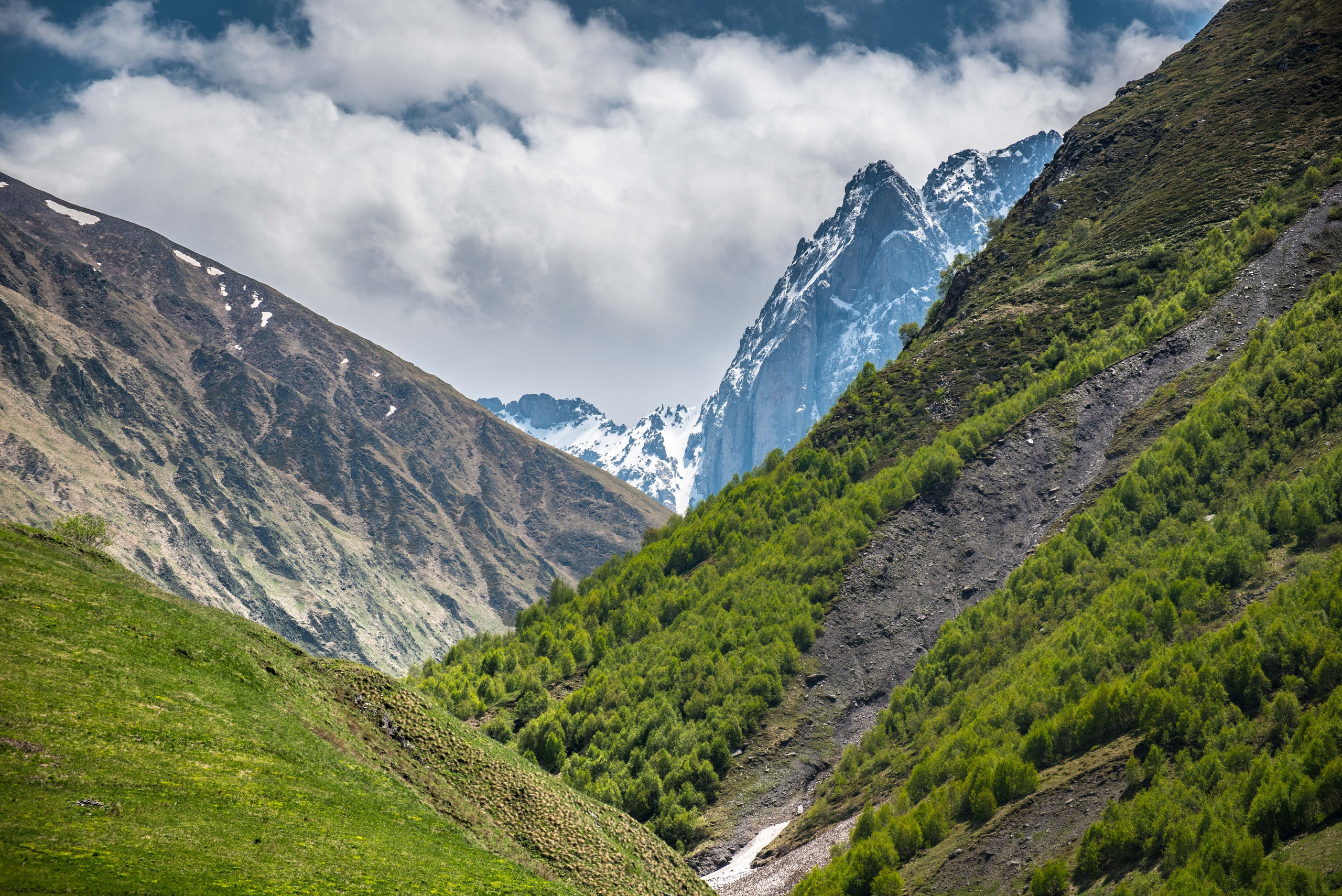 Landscapes. Photographer in Tbilisi