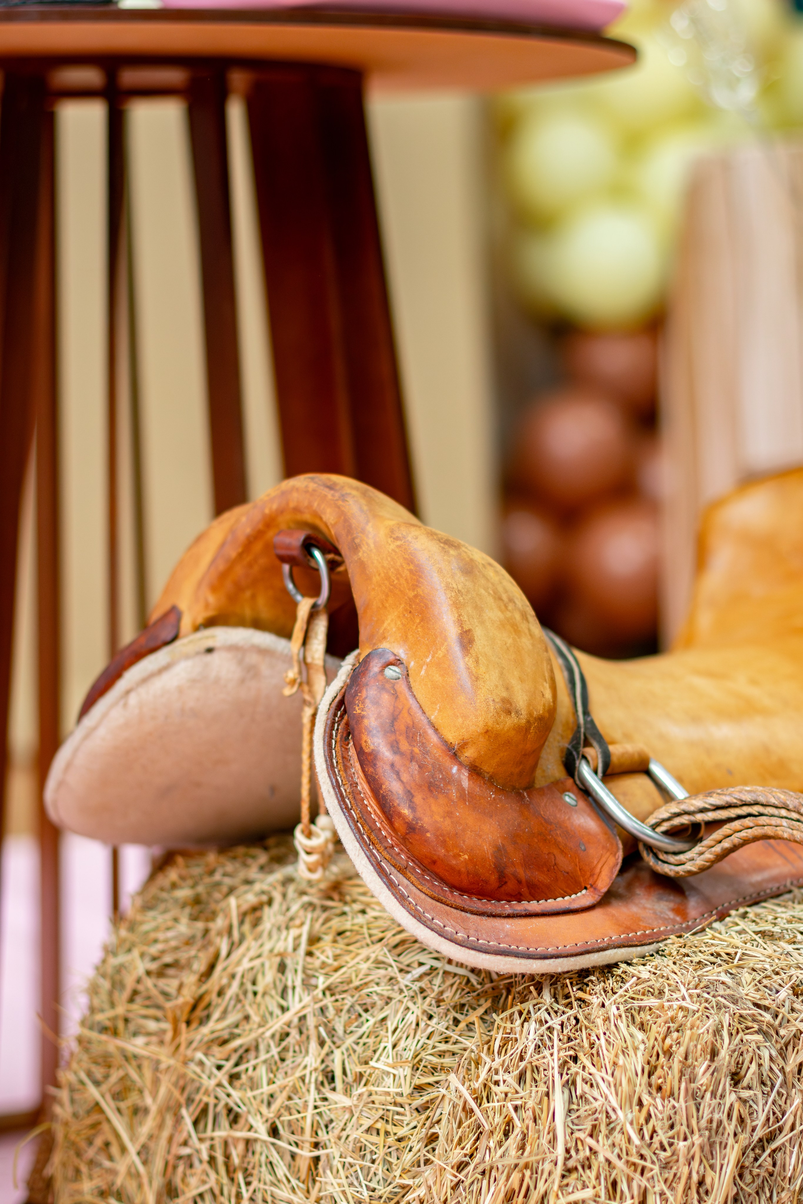 Stella — Aniversário 5 anos. Principal