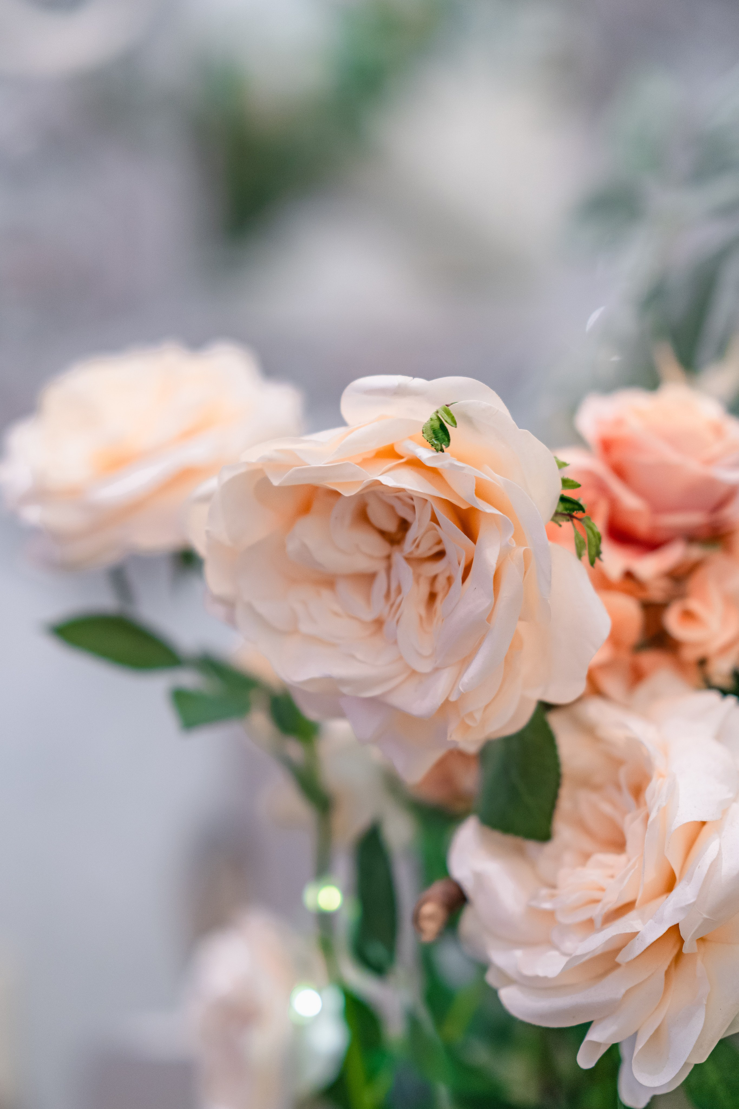 Vasylyna. Tonya Kyrylenko photographer in London