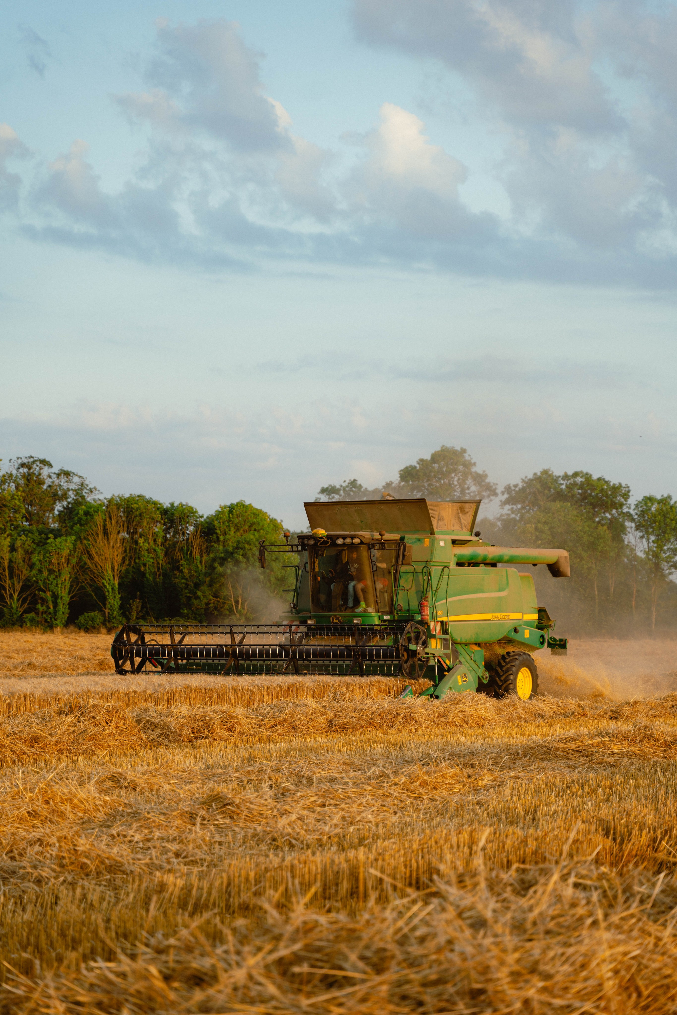 Entreprise agricole. Weeding photographer / event / portrait