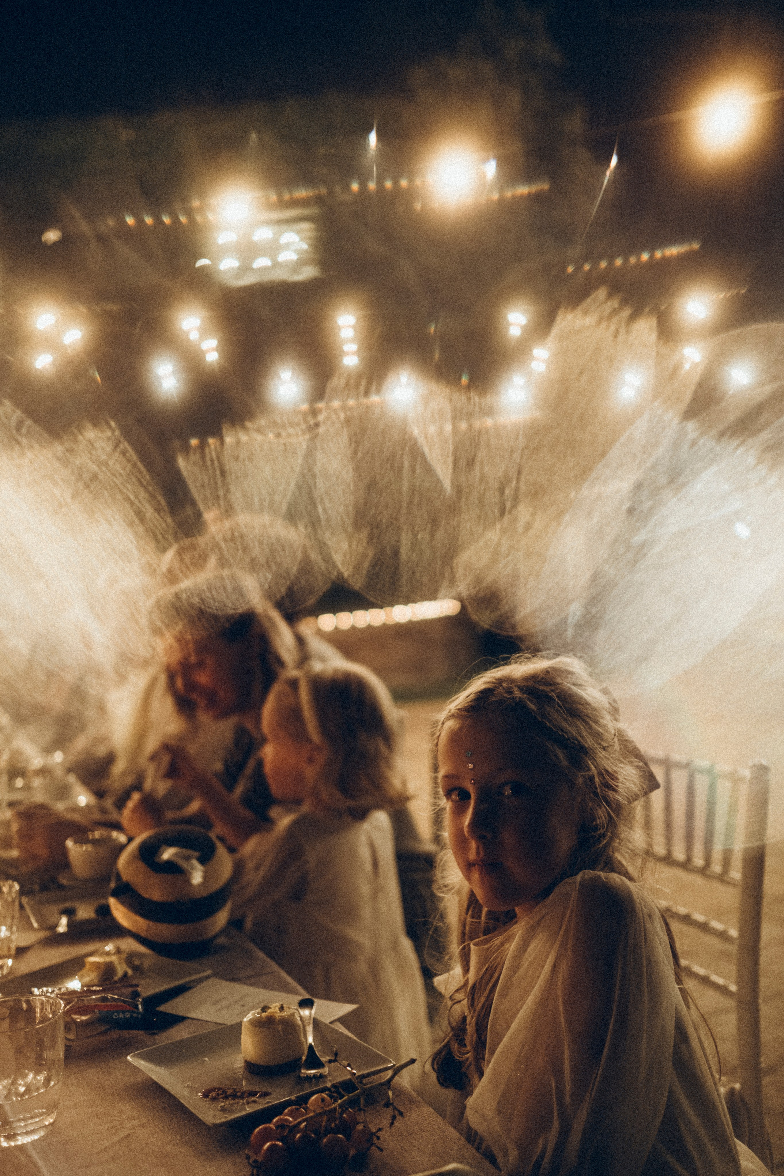 Nadezhda & Dmitry. Masia Mas Coll. Paola wedding photographer / videographer in Barcelona