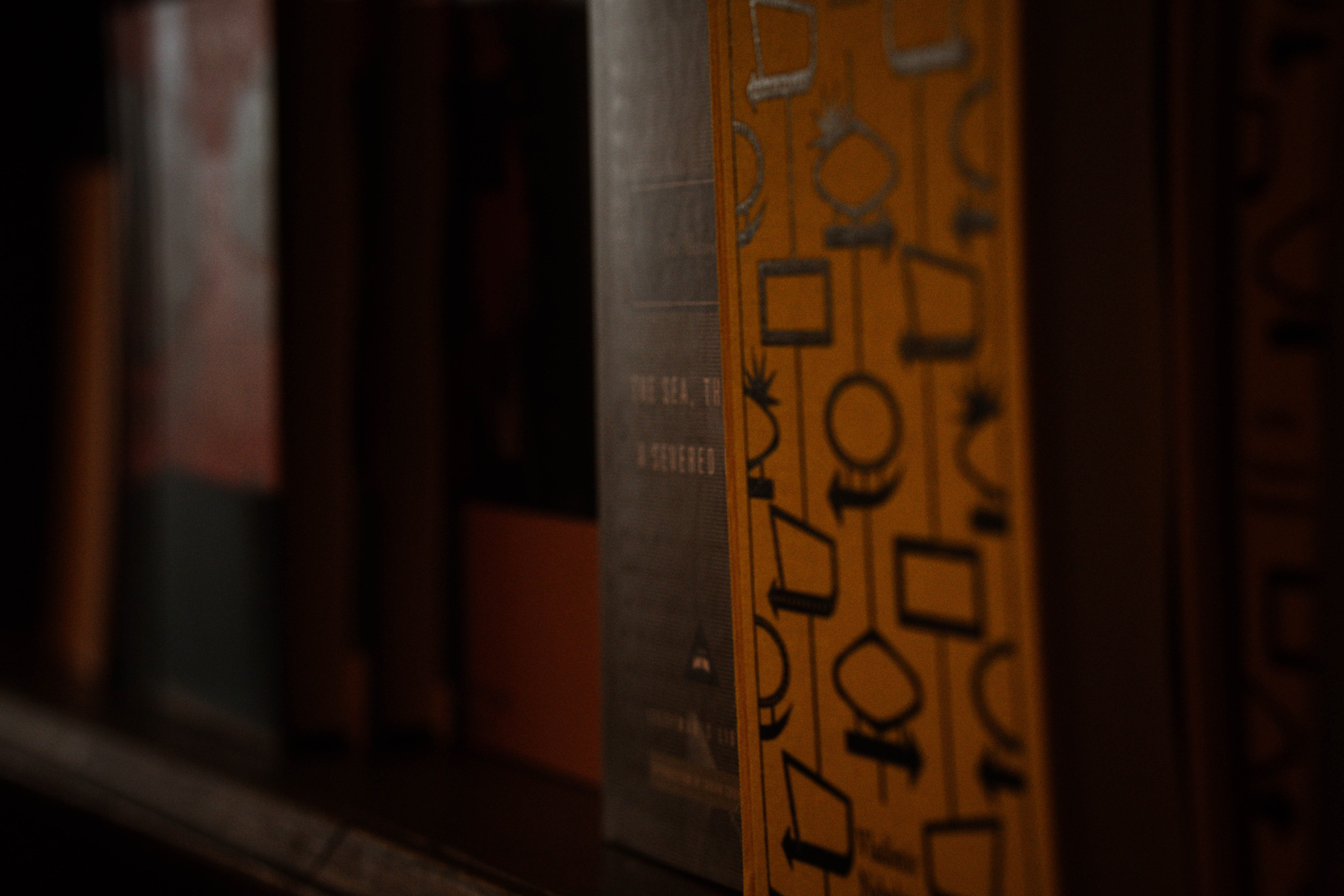 Librería Lello, Porto. Alba del Norte Studio