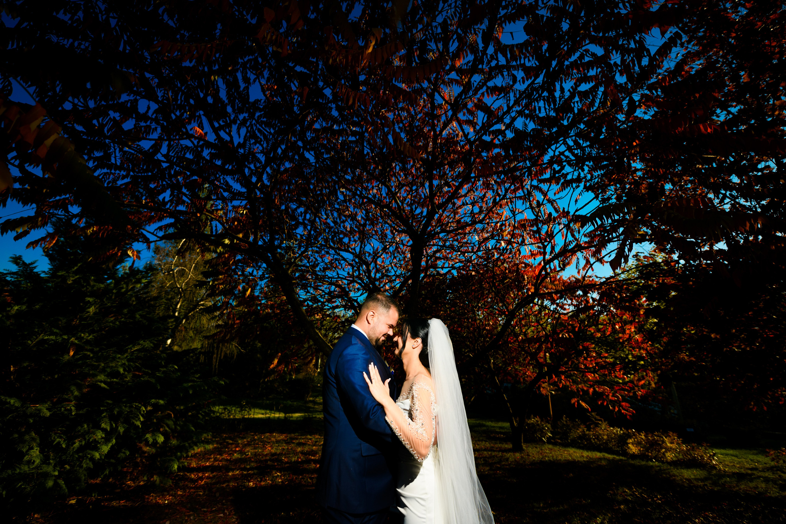 Wedding. Alin Doana Visual Art