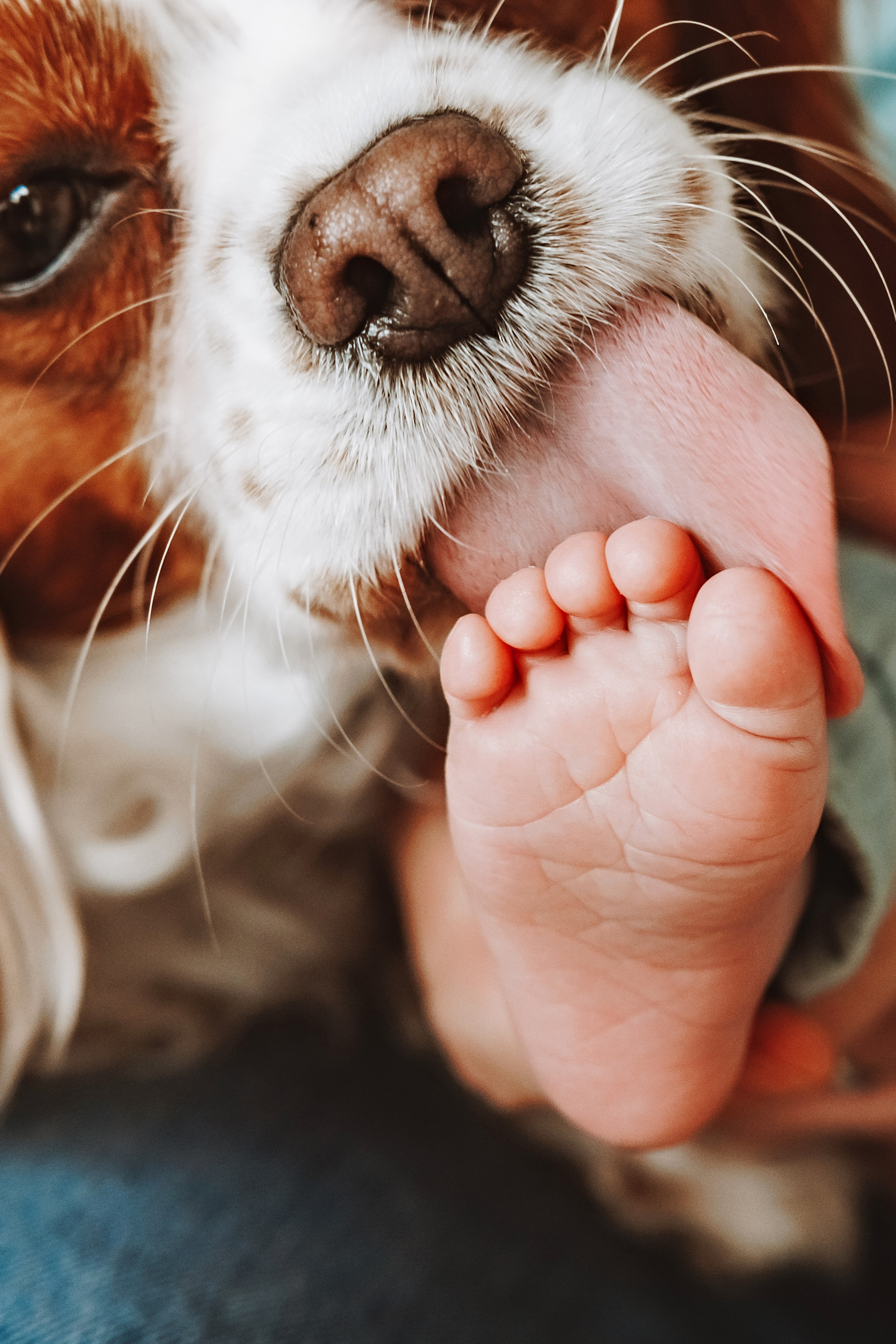 Фотосесия за новородено. Фотограф Ирина Йотова