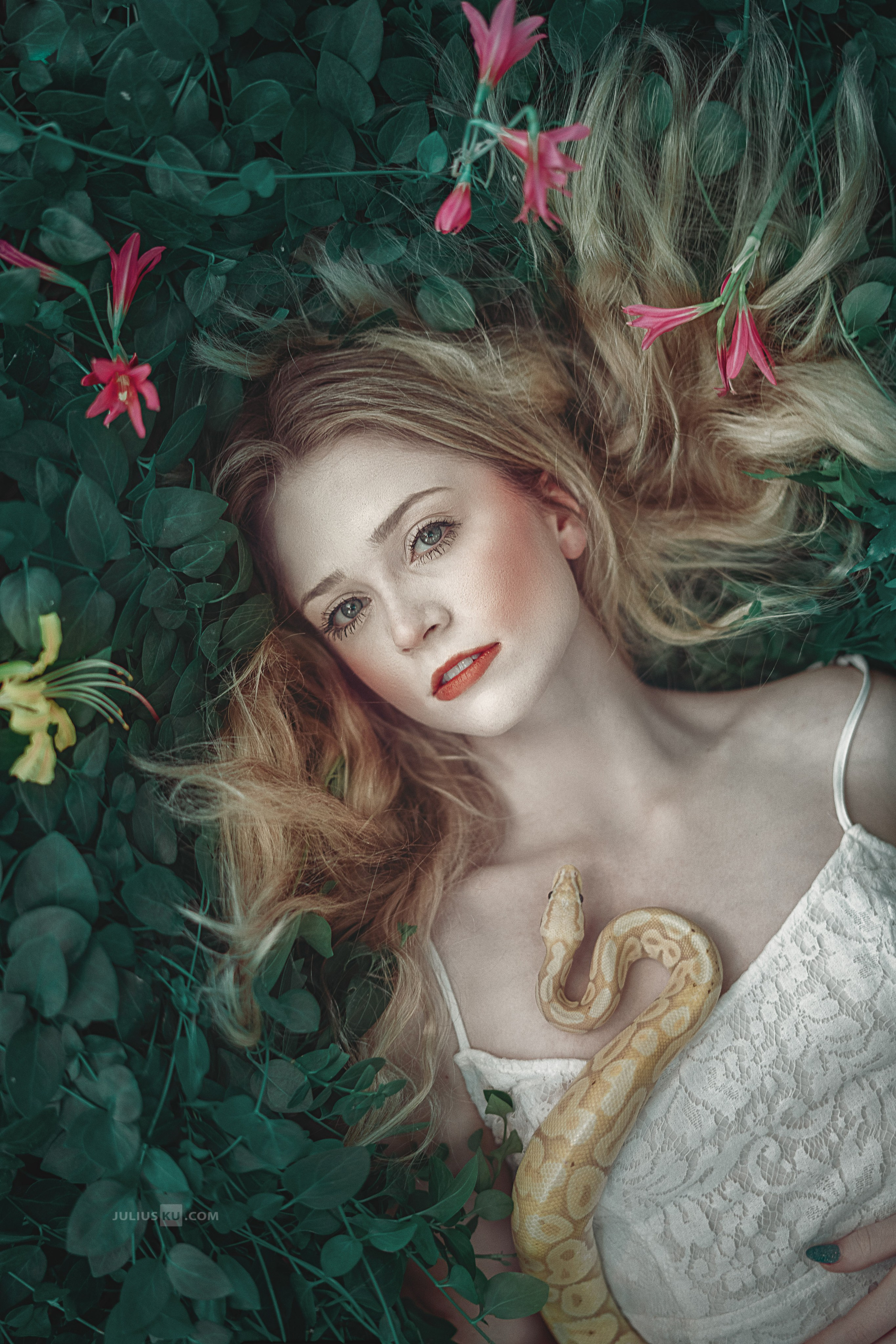 Creative / Fantasy. Main