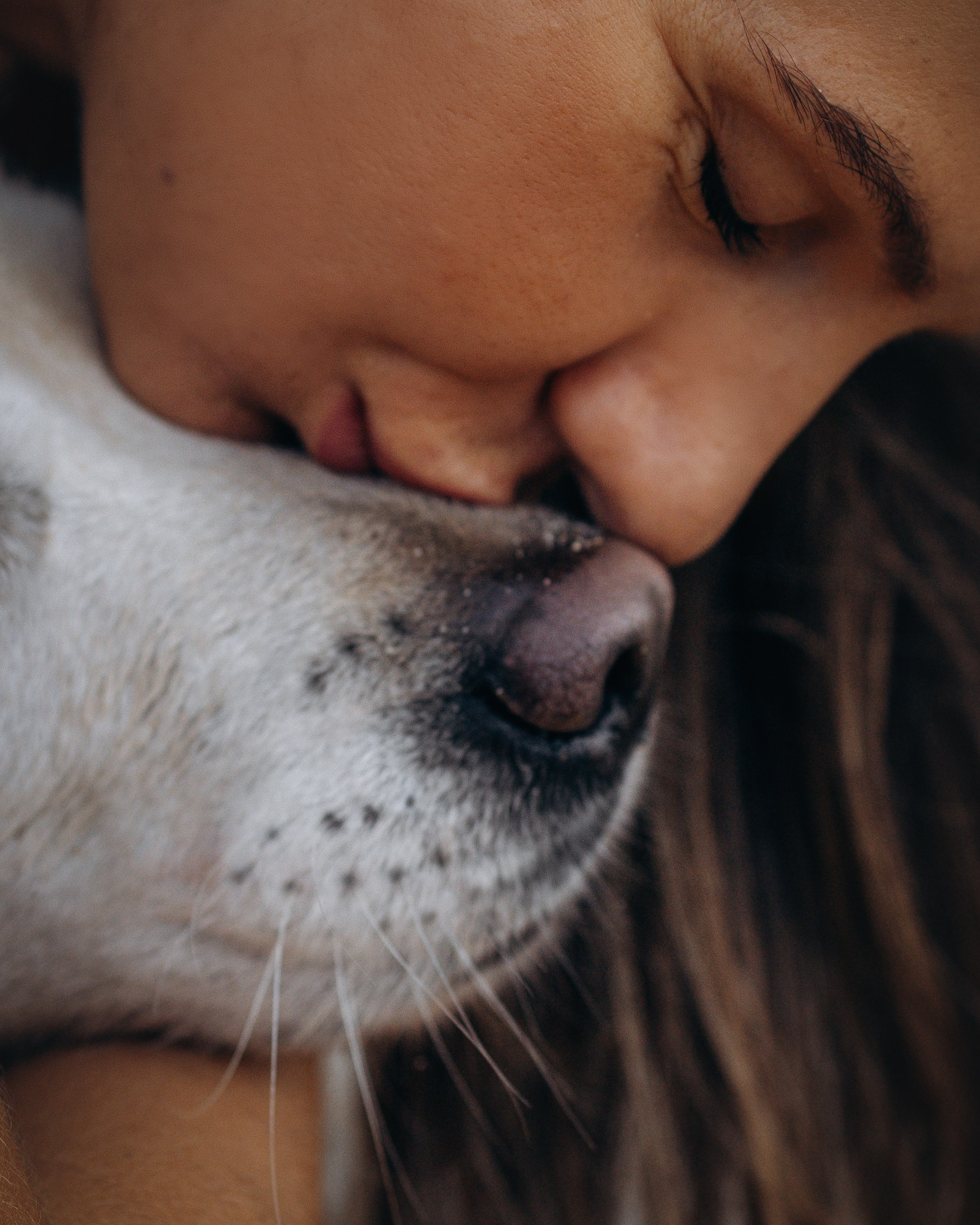 Robby & Asya. Pet Photographer Viktoriya Aleshenko