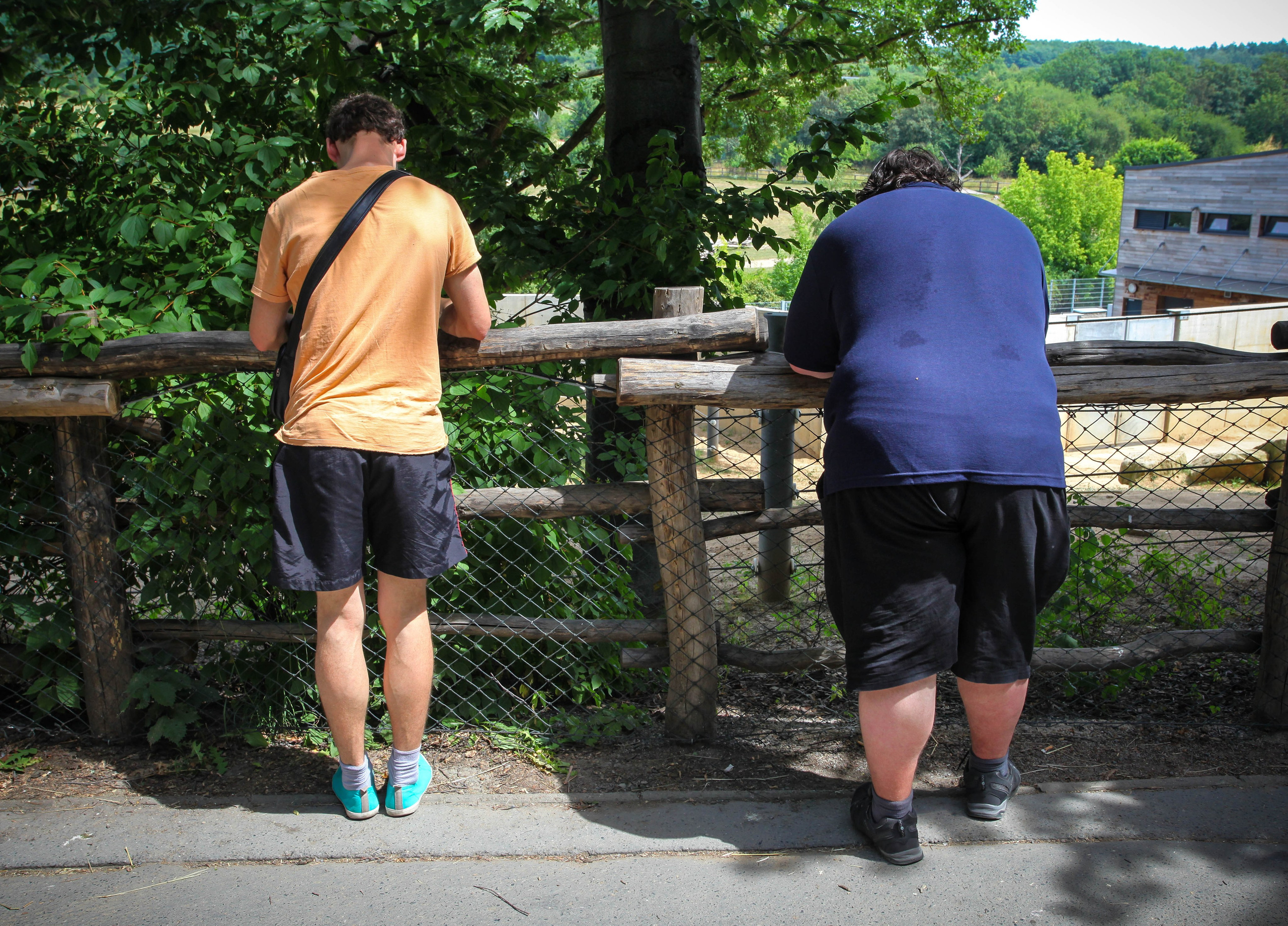ЧЕХИЯ. Стрит-фотография, полная абсурда, идиотизма и красоты