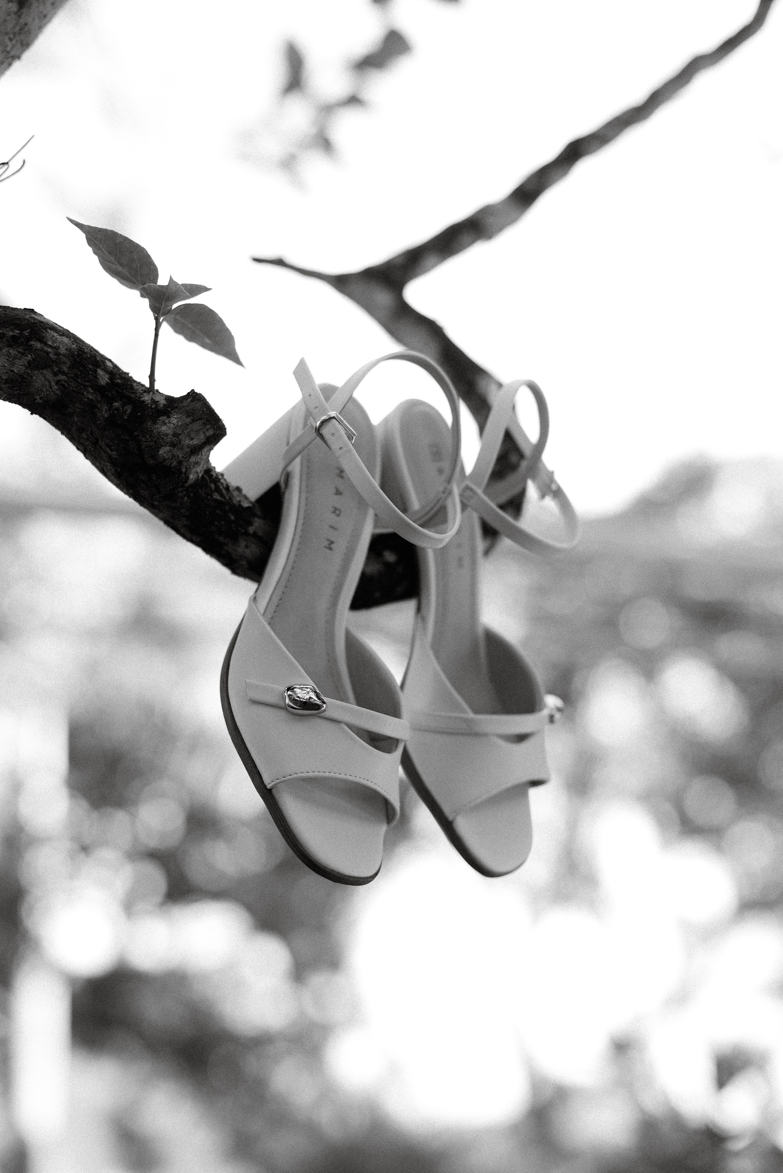 Leandro & Ketllin | Casamento. Junior Ribeiro Fotografia