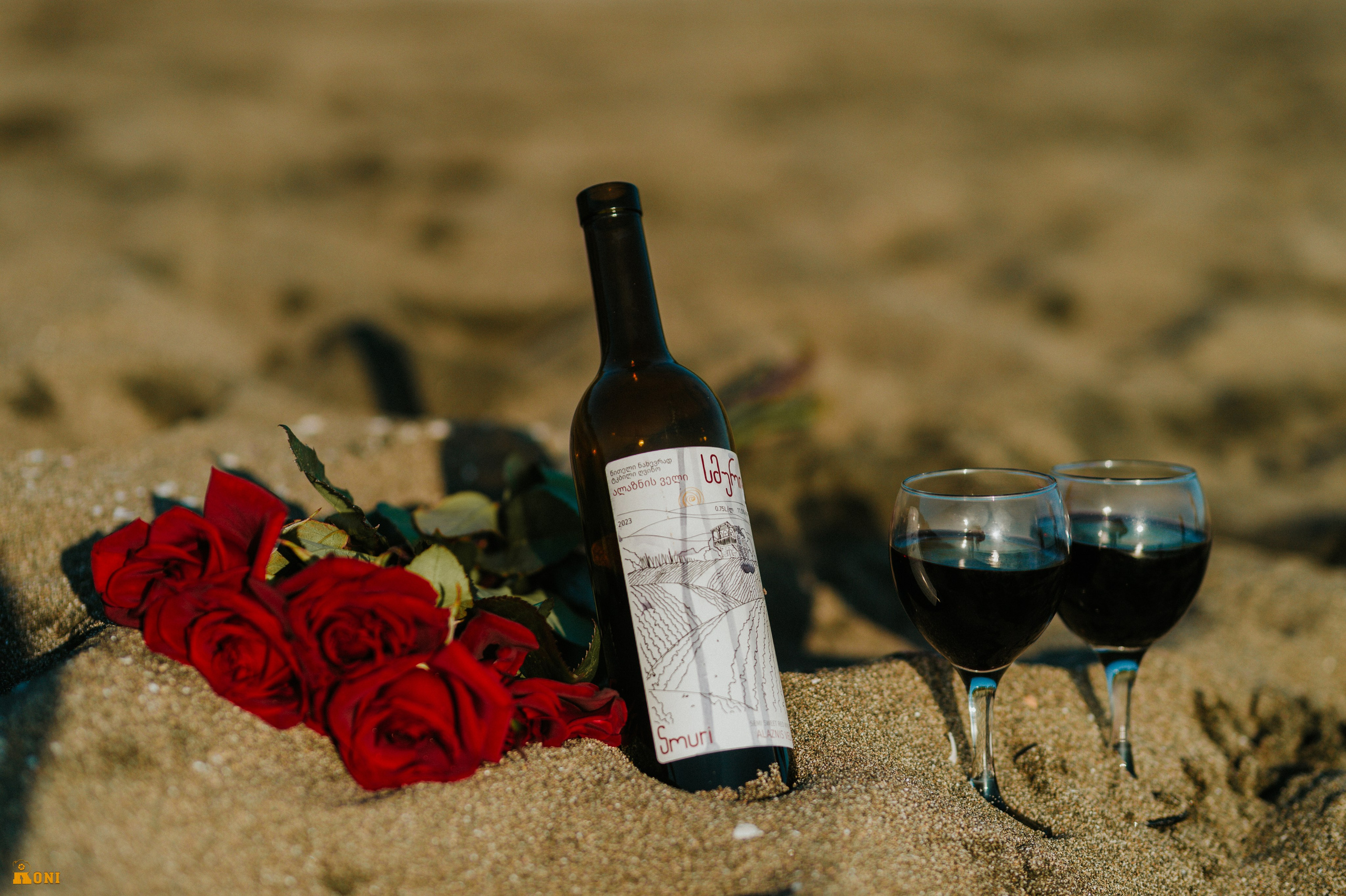 საოჯახო სესია