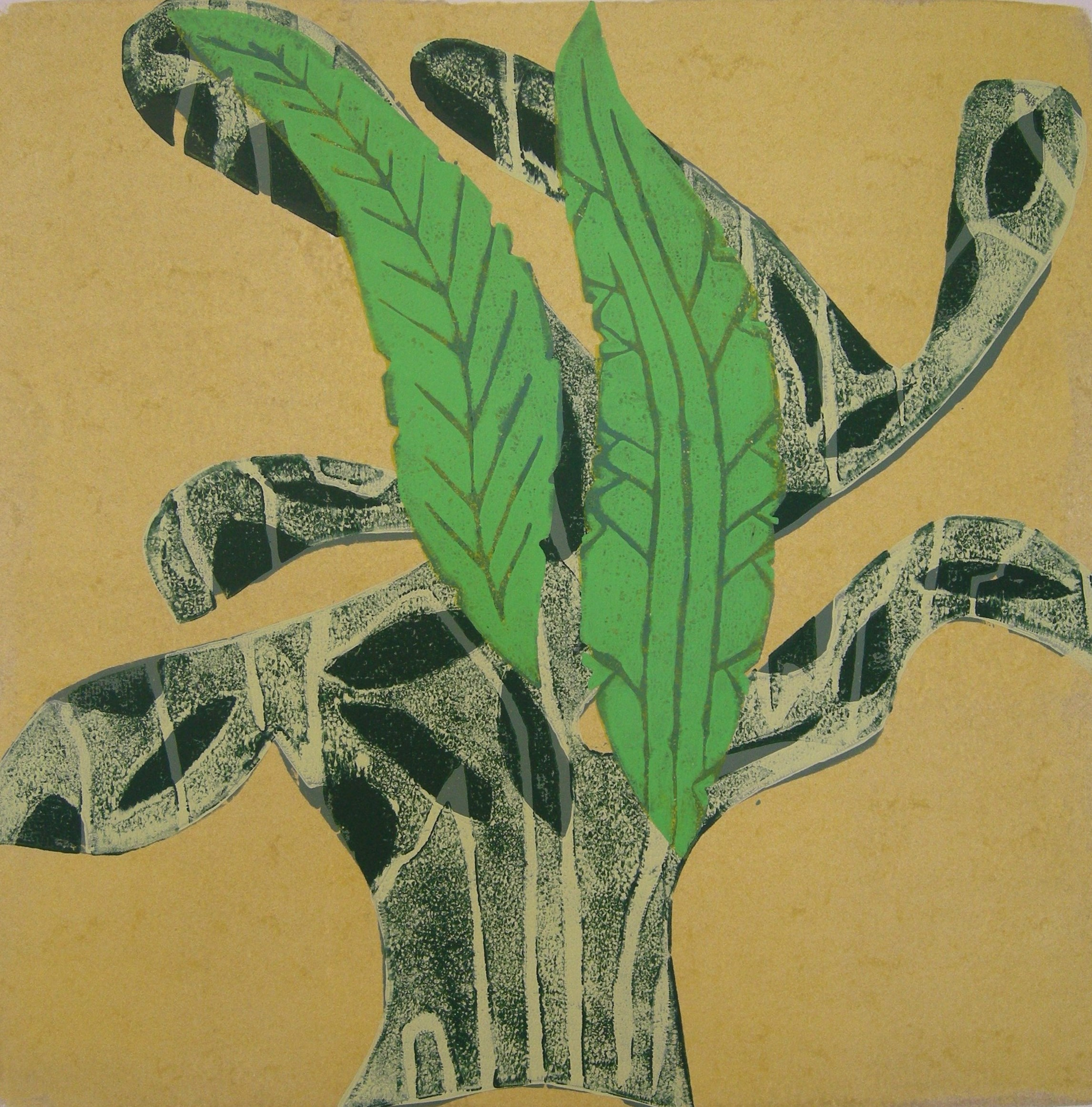 Baum 2014 - 40x40