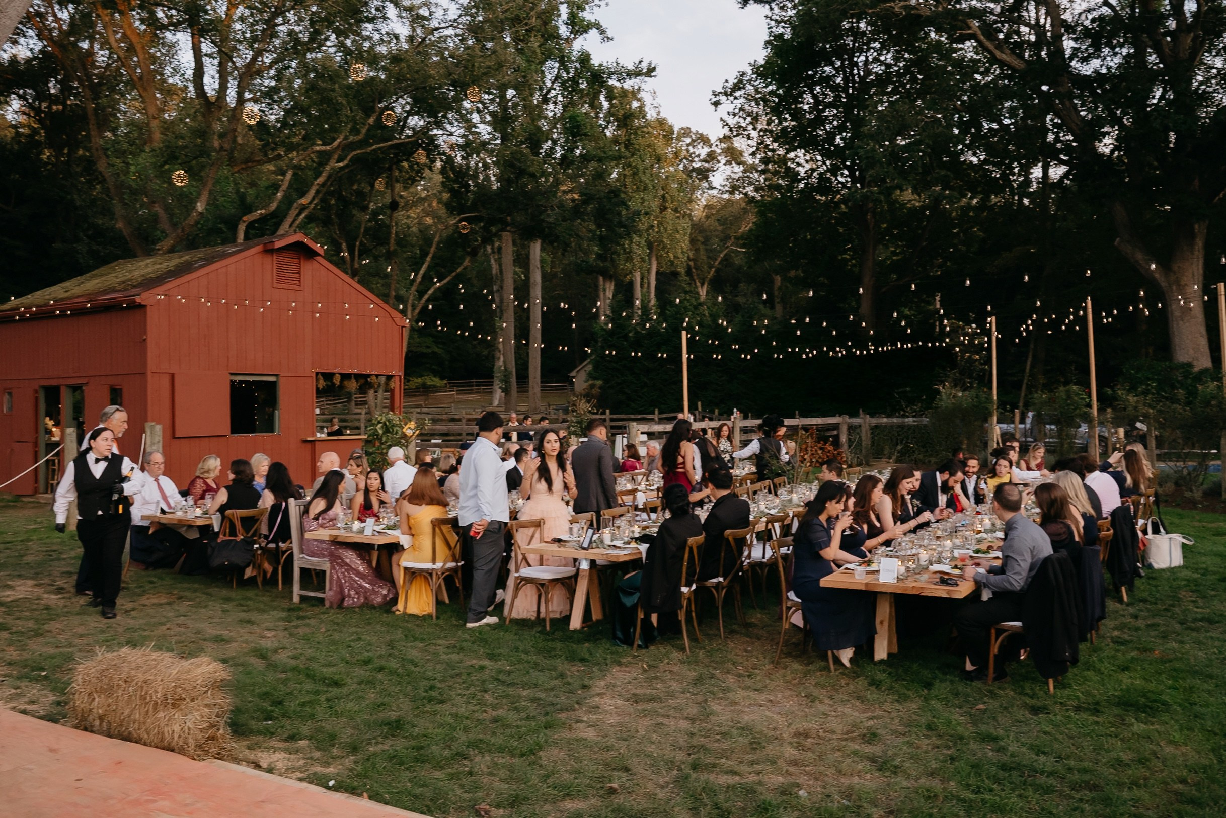 Wedding Portfolio. Wedding Photographer New York