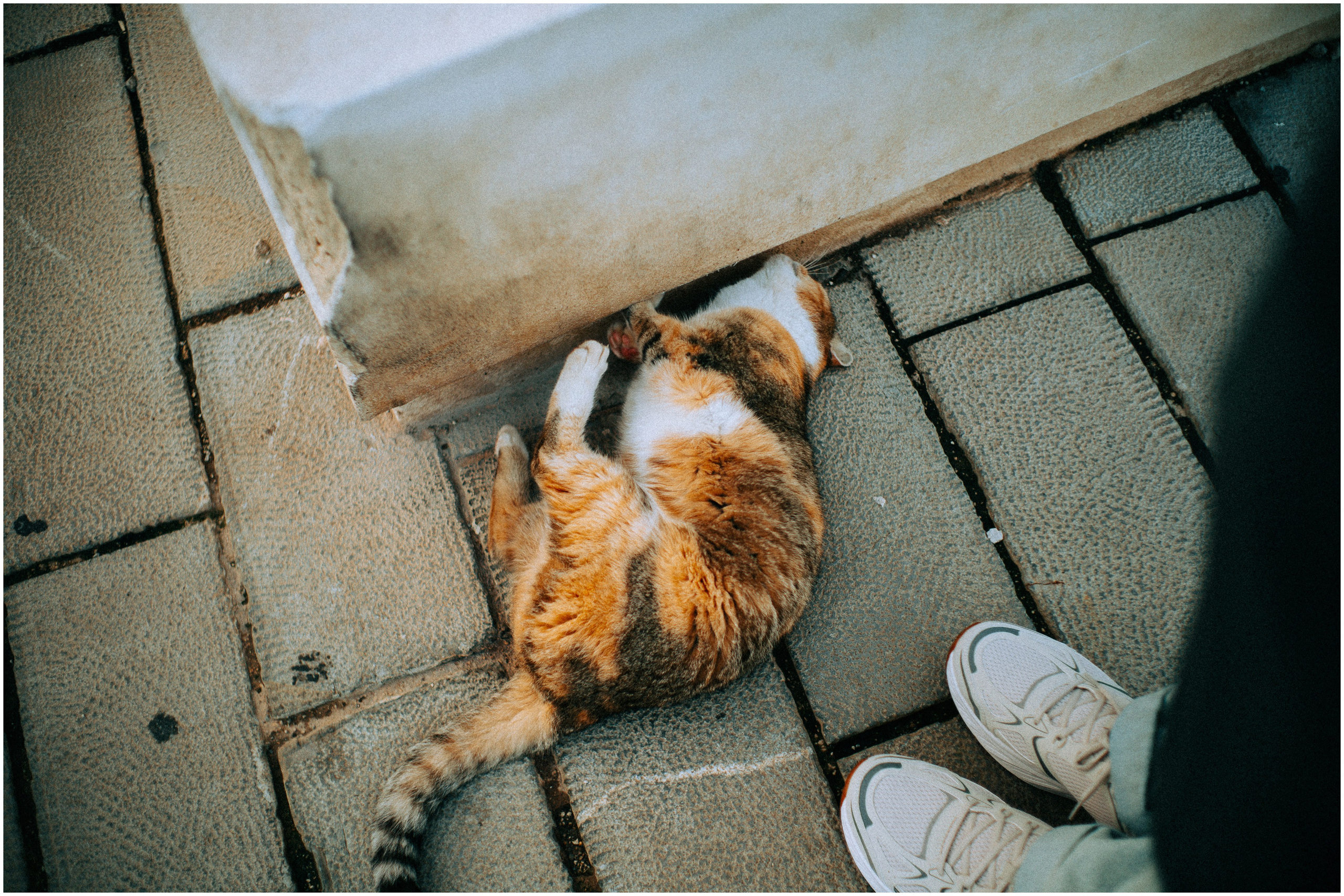 PALERMO. Photographer Inna Mendelson