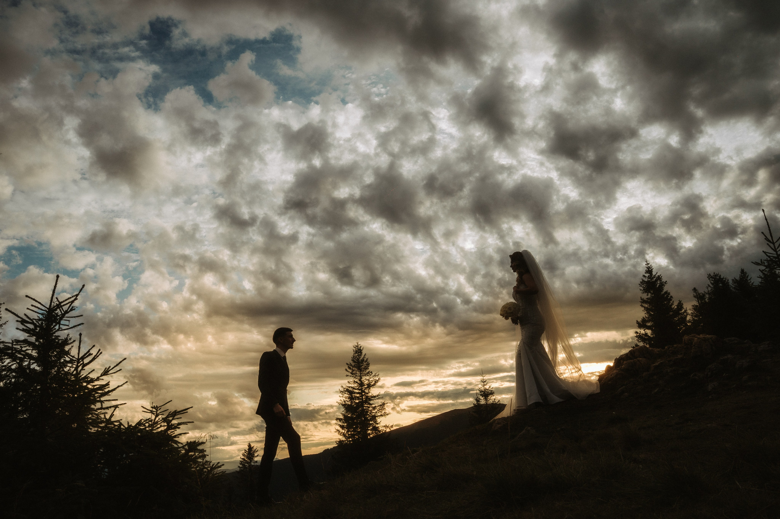 Stefanica & Robert. Spoiala Brothers — Wedding Films & Photography