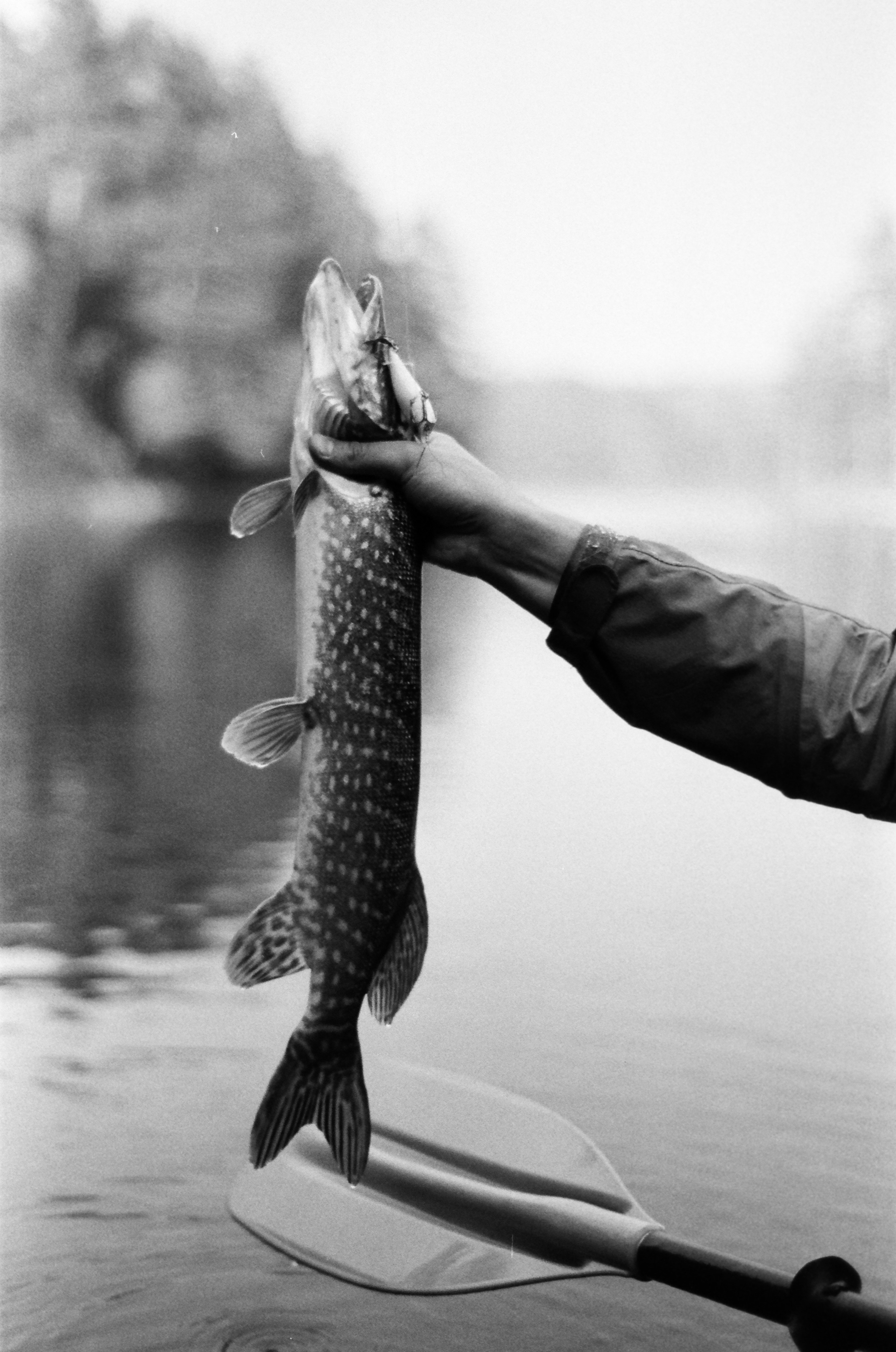 Photographer Yulia Lushnikova, Based in Valencia