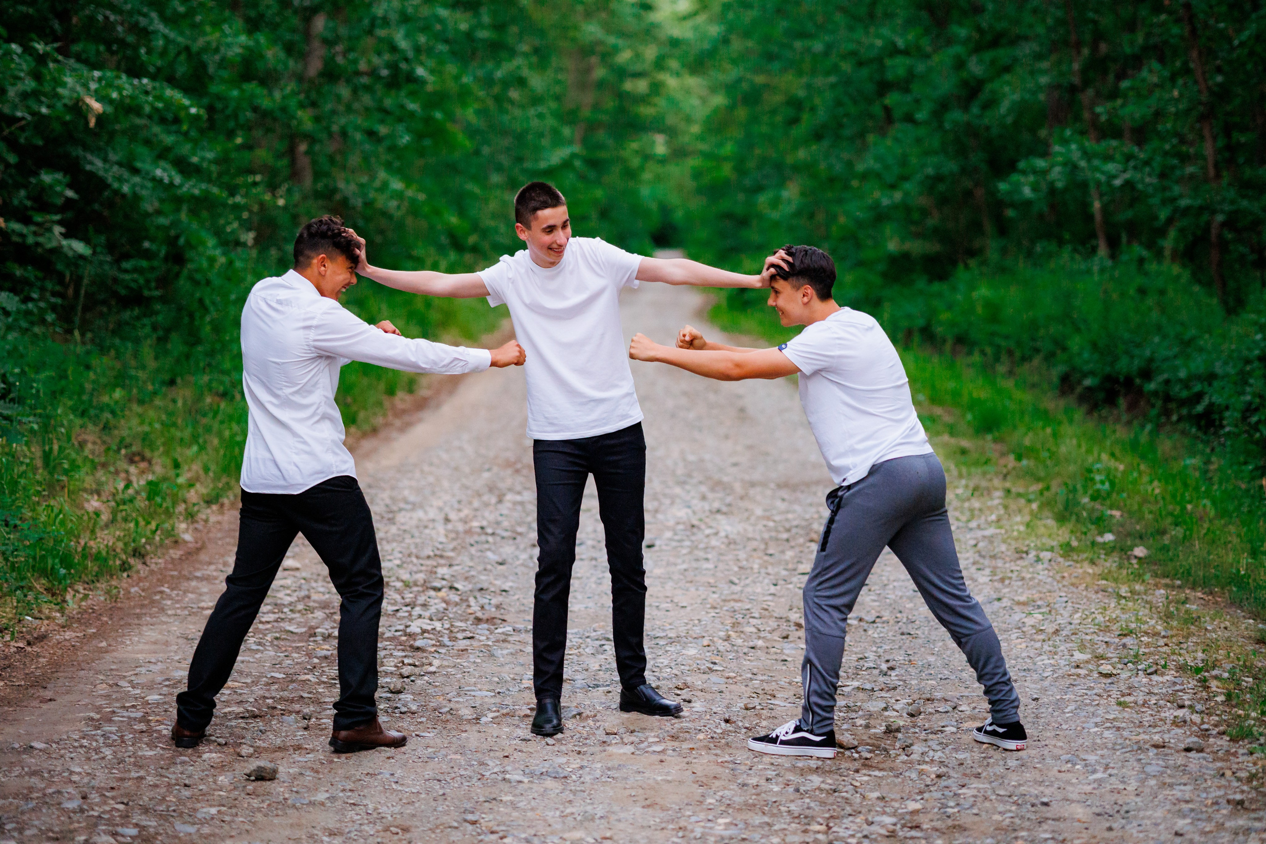 Distracție Gratuit. Trendy Albums