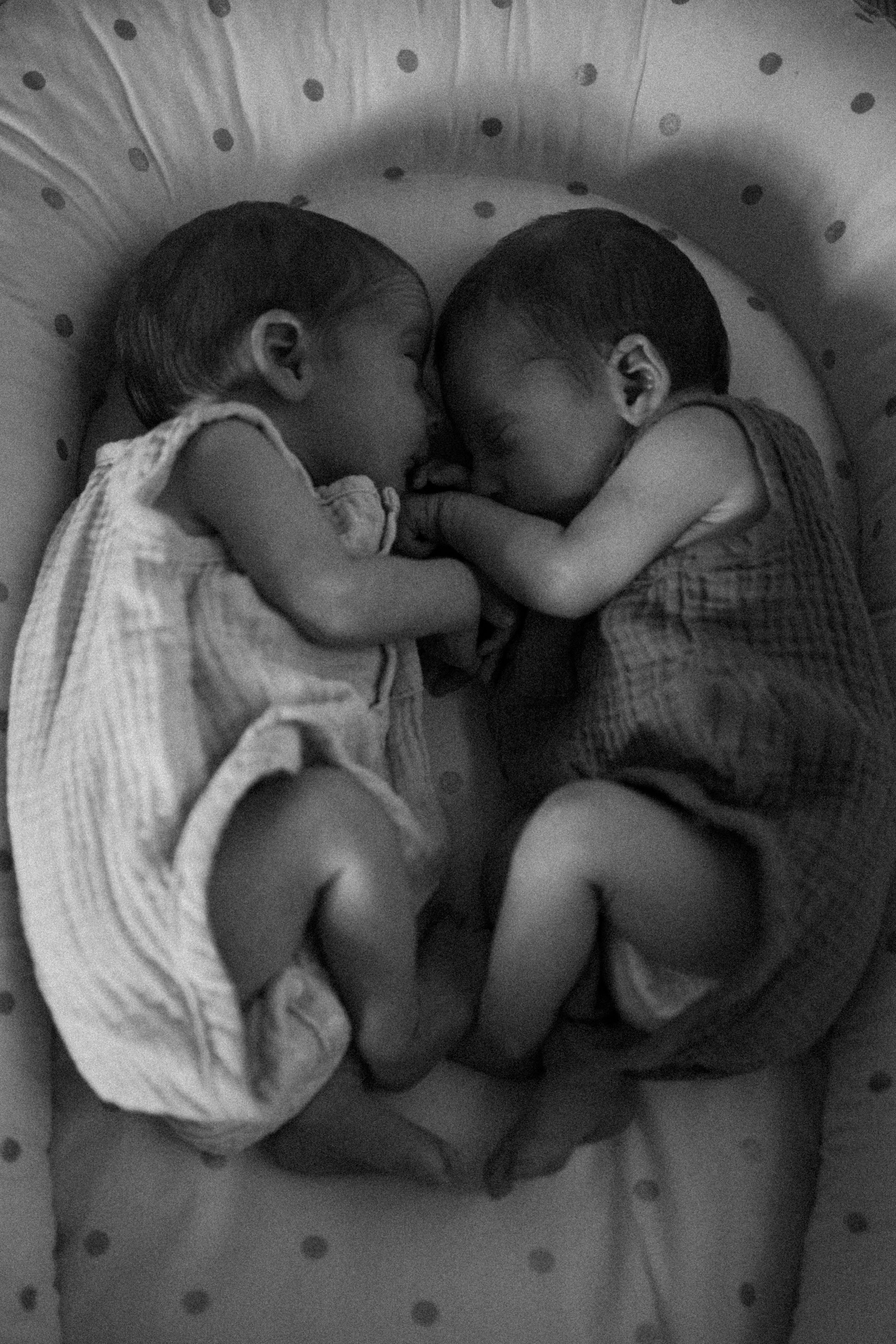 Newborn. Photographer Madeira