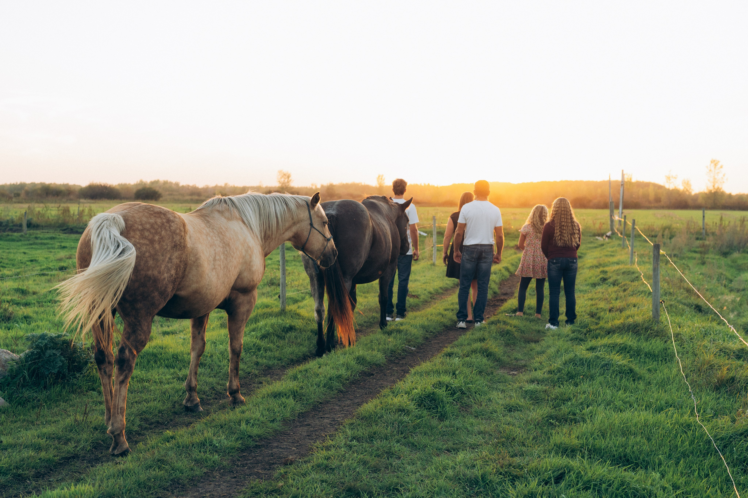 Family walking away together