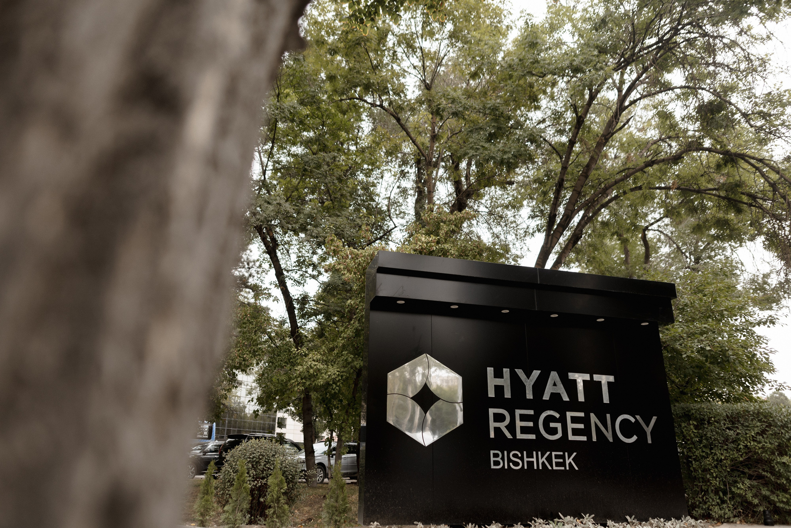 Алмаз и Алина. Азимжан Нуритдинходжаев — свадебный фотограф